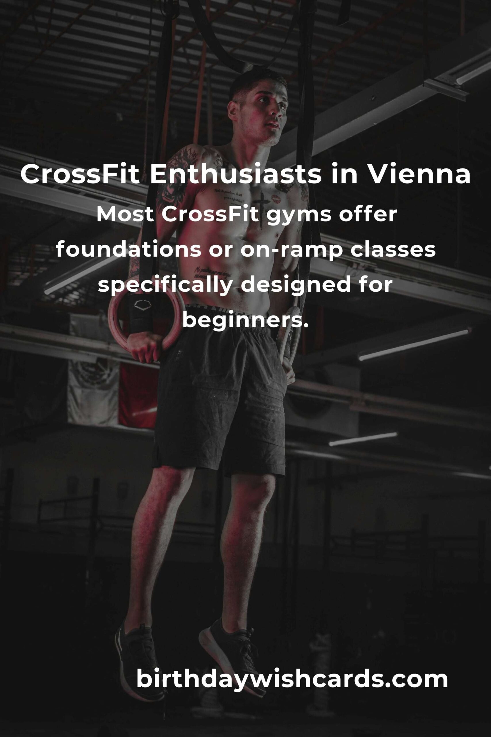 Beginner's Guide to CrossFit in Vienna: Your Path to Fitness