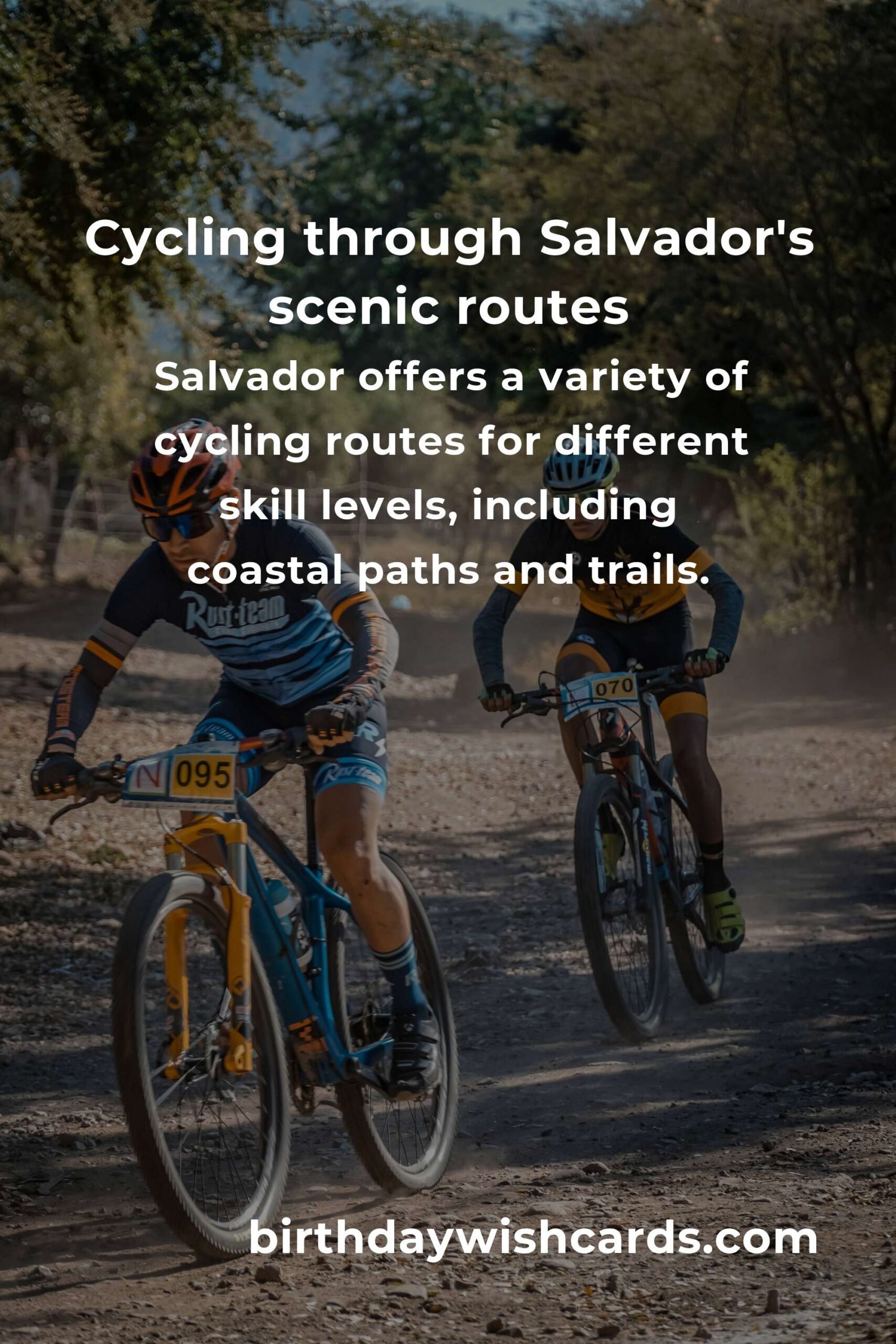 Beginner's Guide to Cycling in Salvador: Exploring the City on Two Wheels