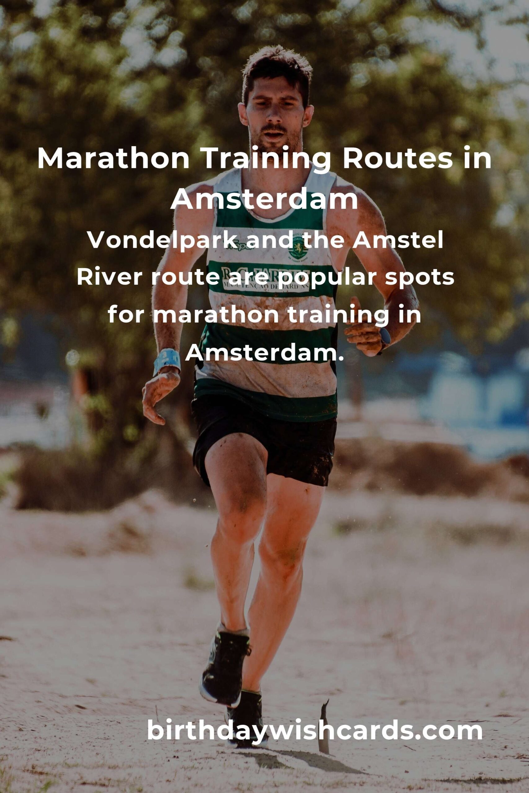 Beginner's Guide to Marathon Training in Amsterdam