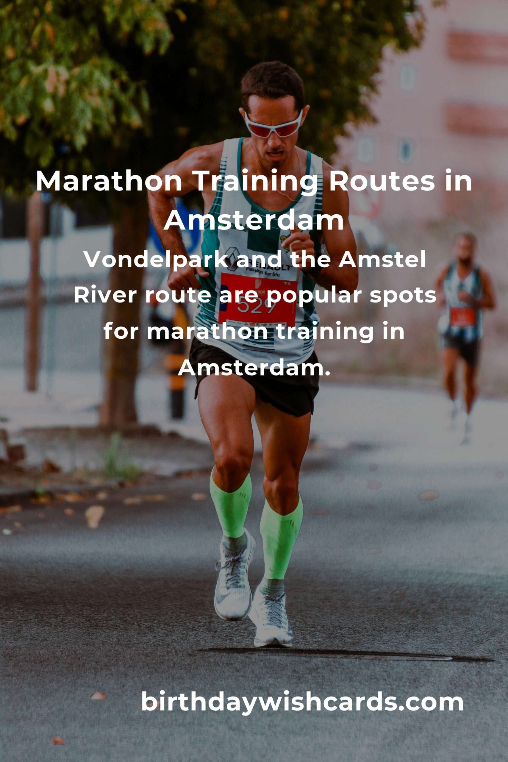 Beginner's Guide to Marathon Training in Amsterdam