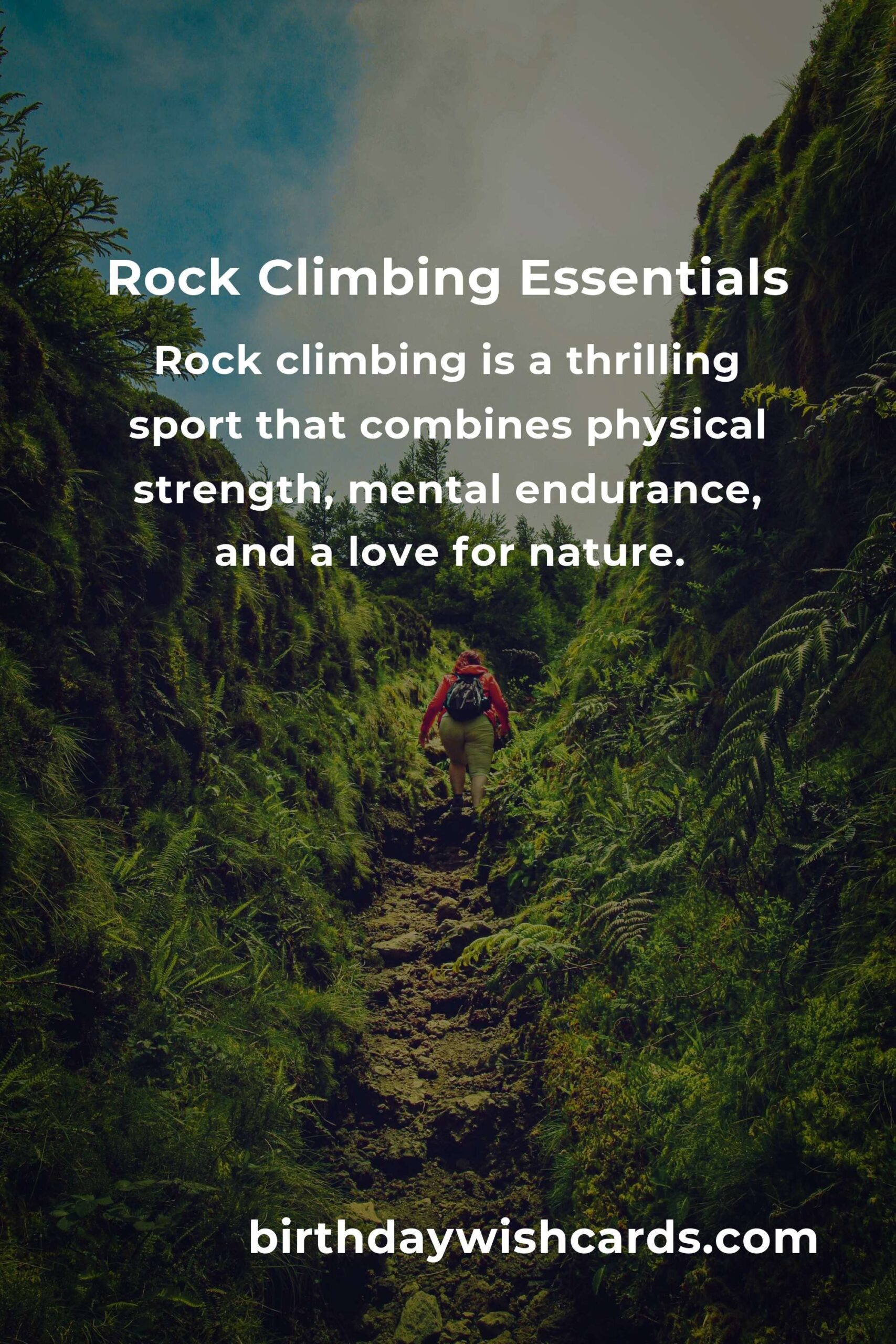 Beginner's Guide to Rock Climbing in Boston: Essential Tips and Locations
