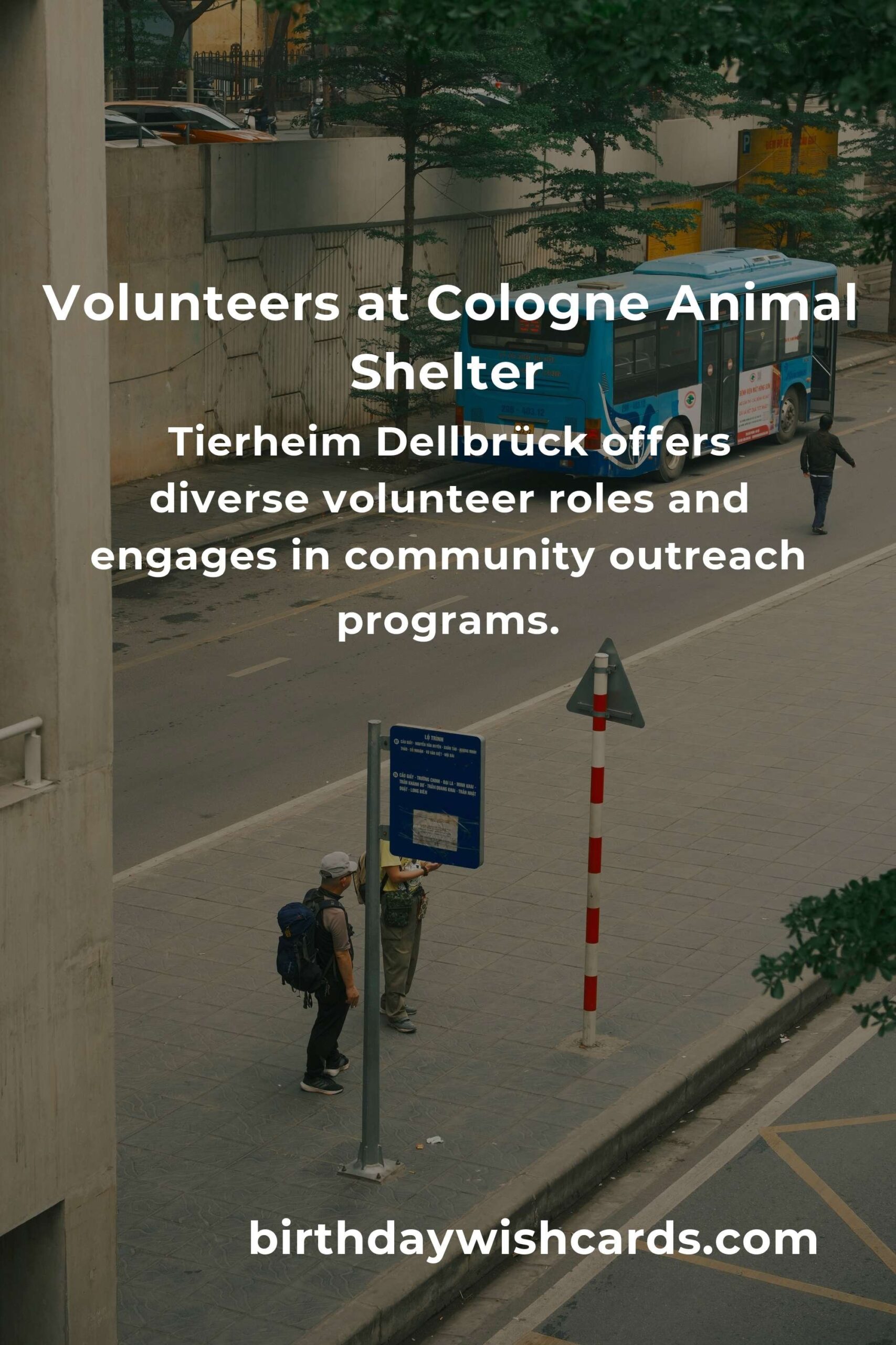 Best Animal Shelter Volunteer Programs in Cologne: Make a Difference