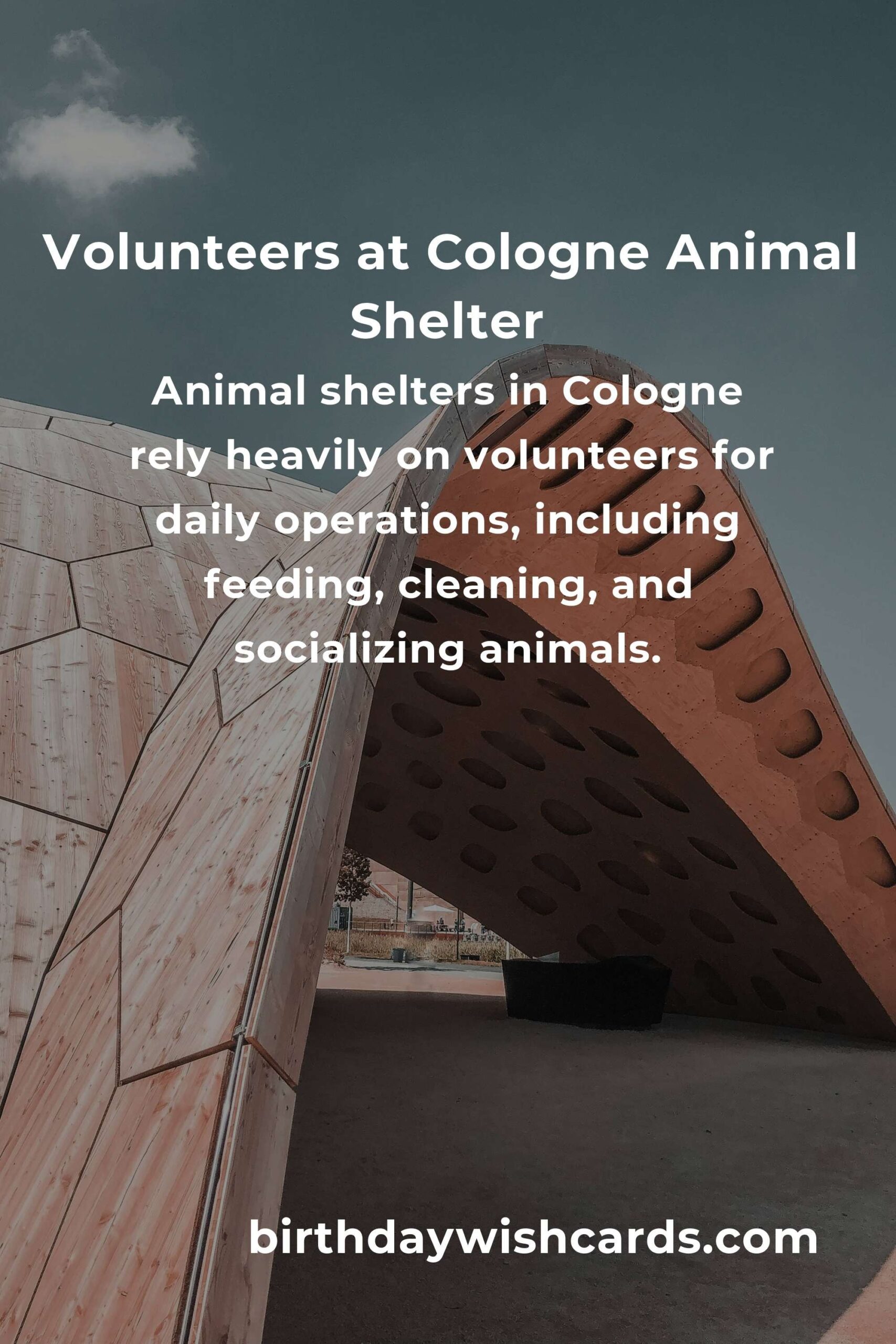 Best Animal Shelter Volunteer Programs in Cologne: Make a Difference