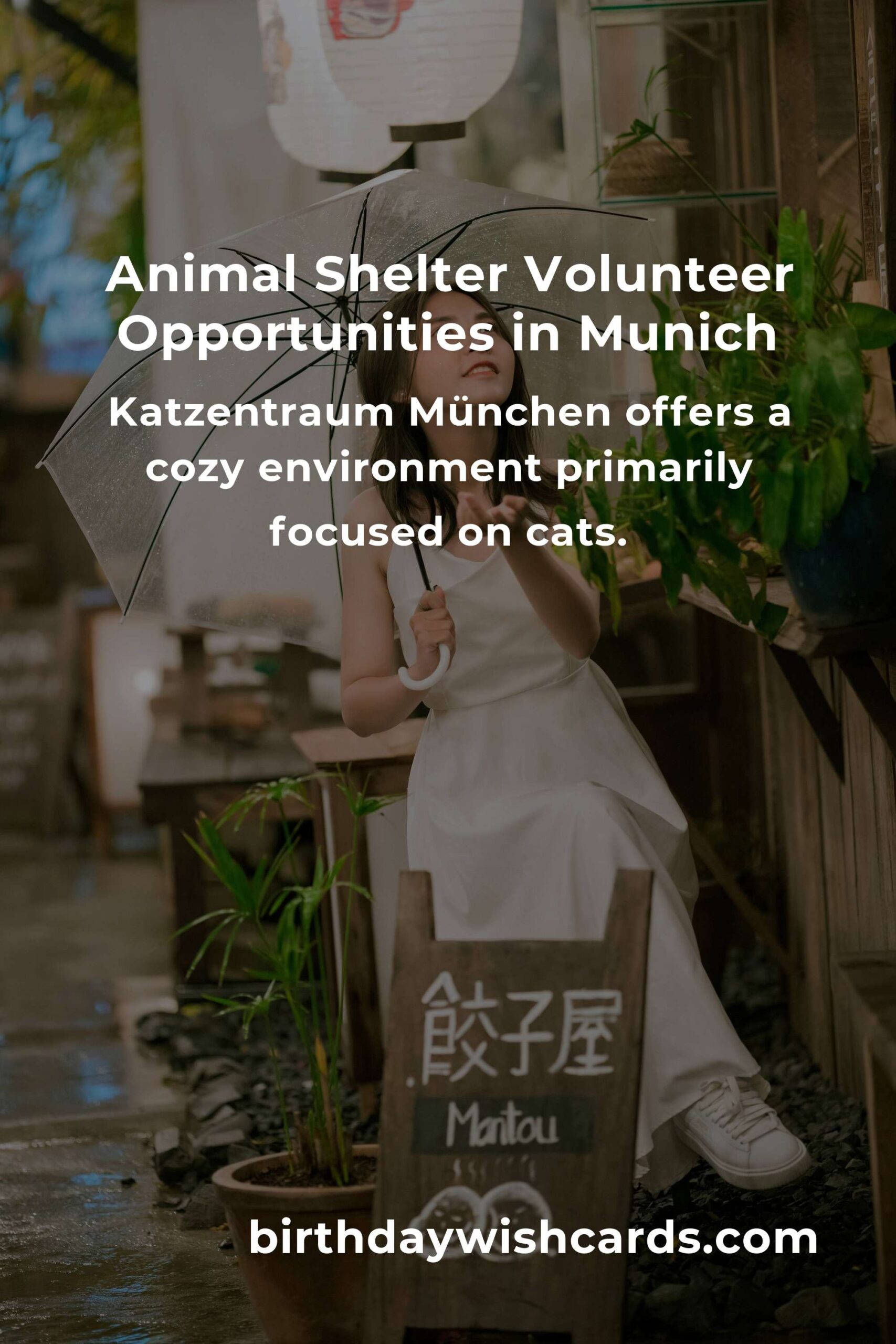 Best Animal Shelter Volunteer Programs in Munich: Make a Difference Today