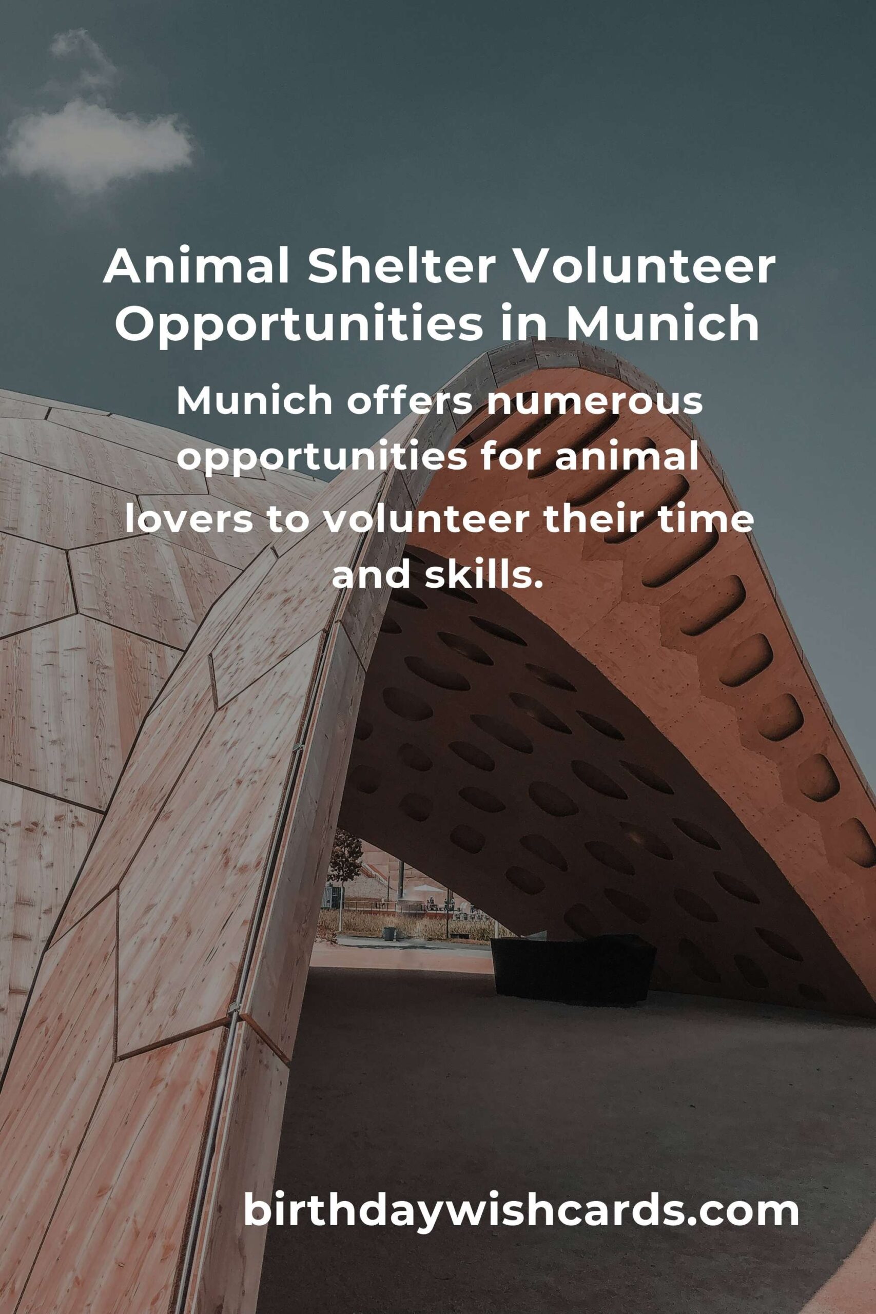 Best Animal Shelter Volunteer Programs in Munich: Make a Difference Today