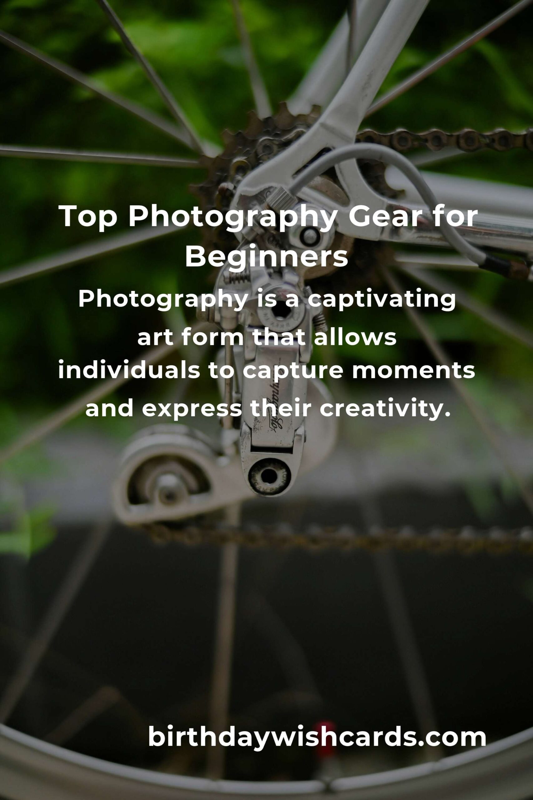 Best Photography Gear for Beginners in 2025