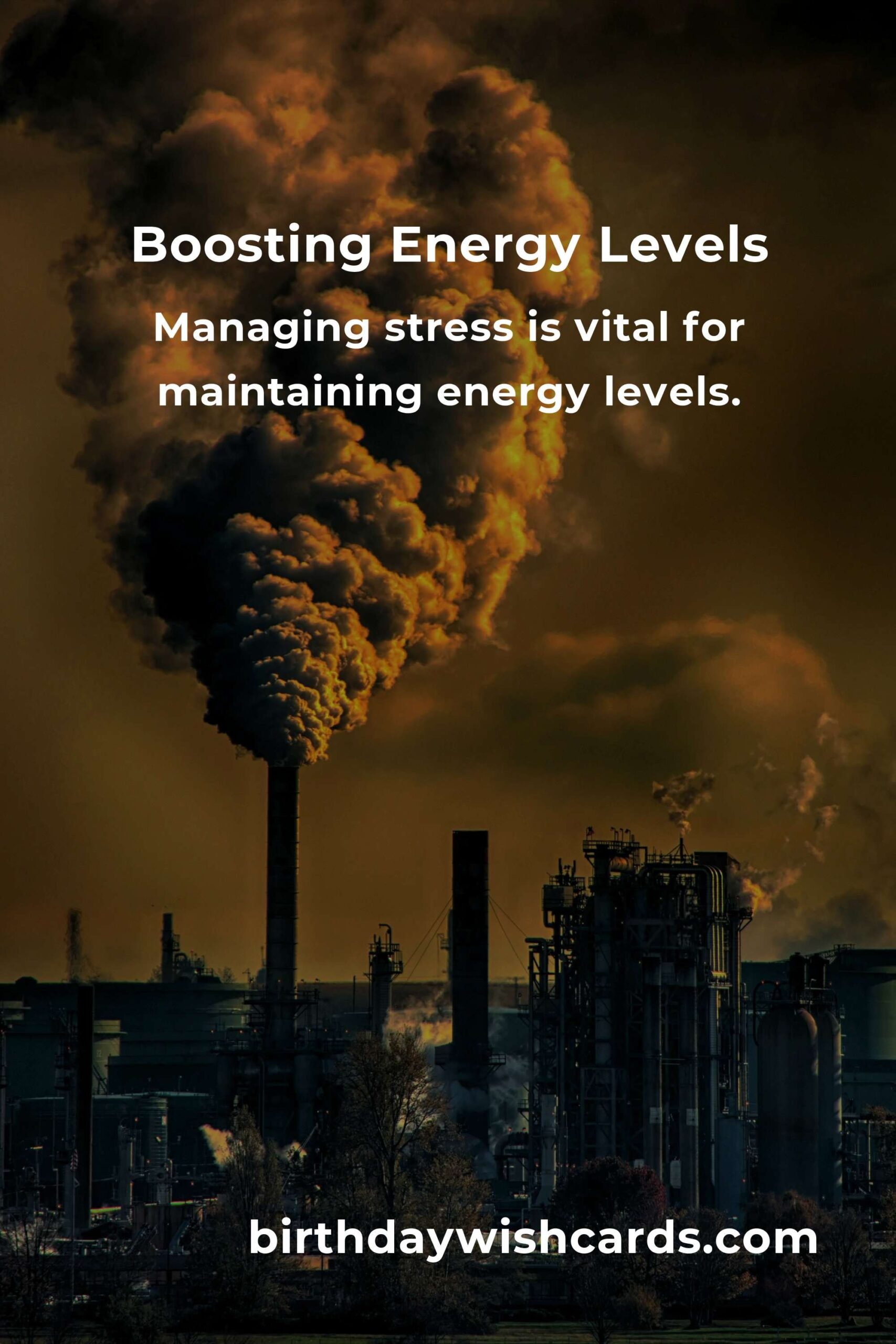 Boosting Energy Levels: A Comprehensive Guide for Beginners in 2025