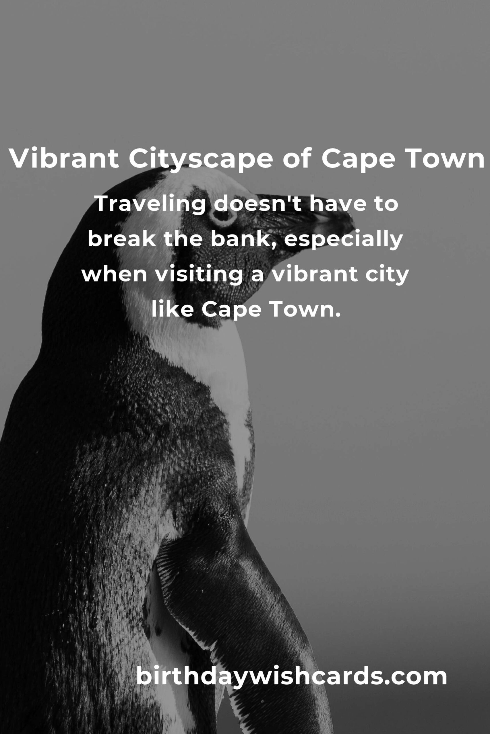 Budget-Friendly Guide to City Breaks in Cape Town