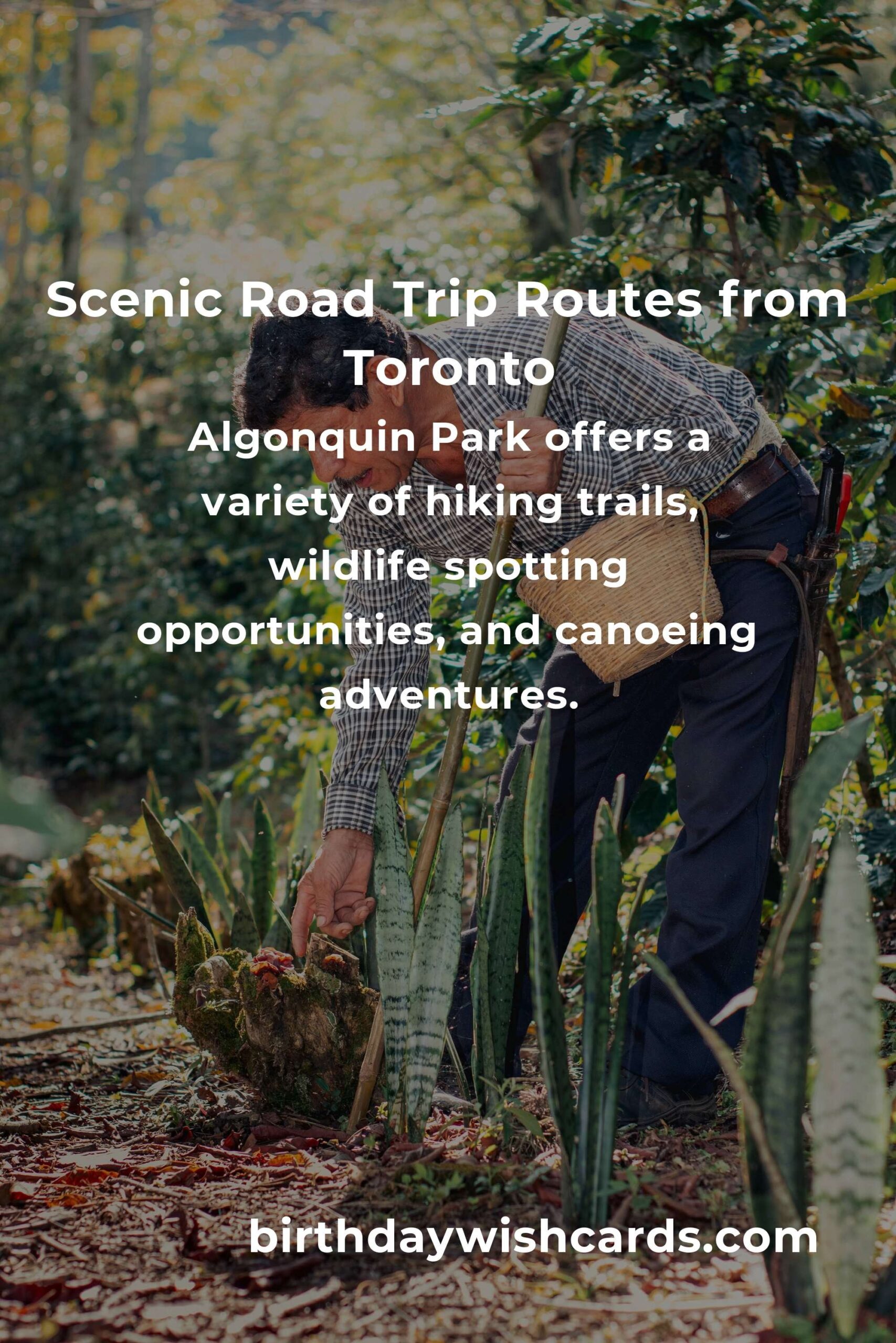 Budget Guide to Affordable Road Trip Routes from Toronto