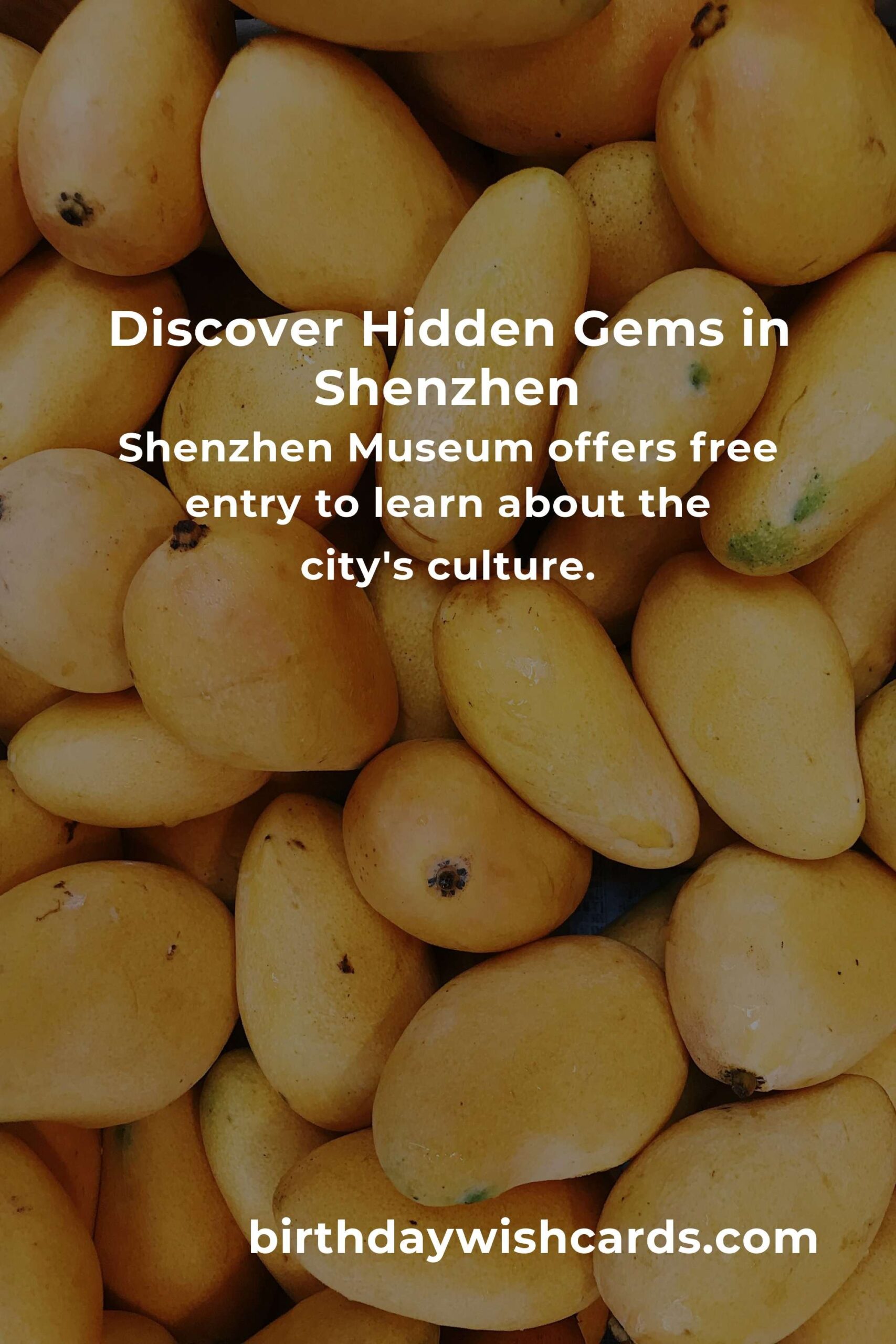 Budget Guide to Hidden Gems in Shenzhen: Explore the City Without Breaking the Bank