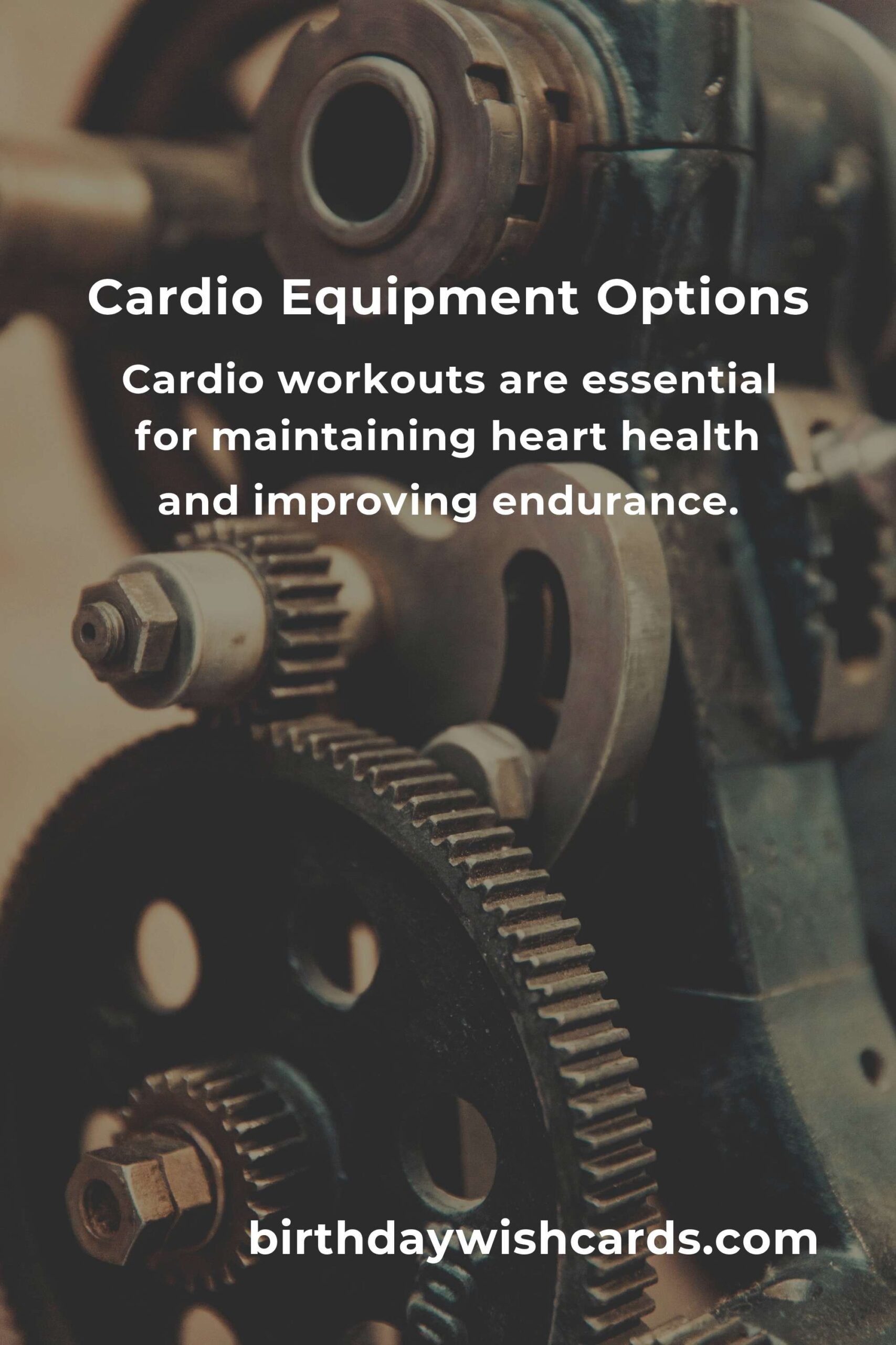 Cardio Workouts Equipment Guide for Empty Nesters