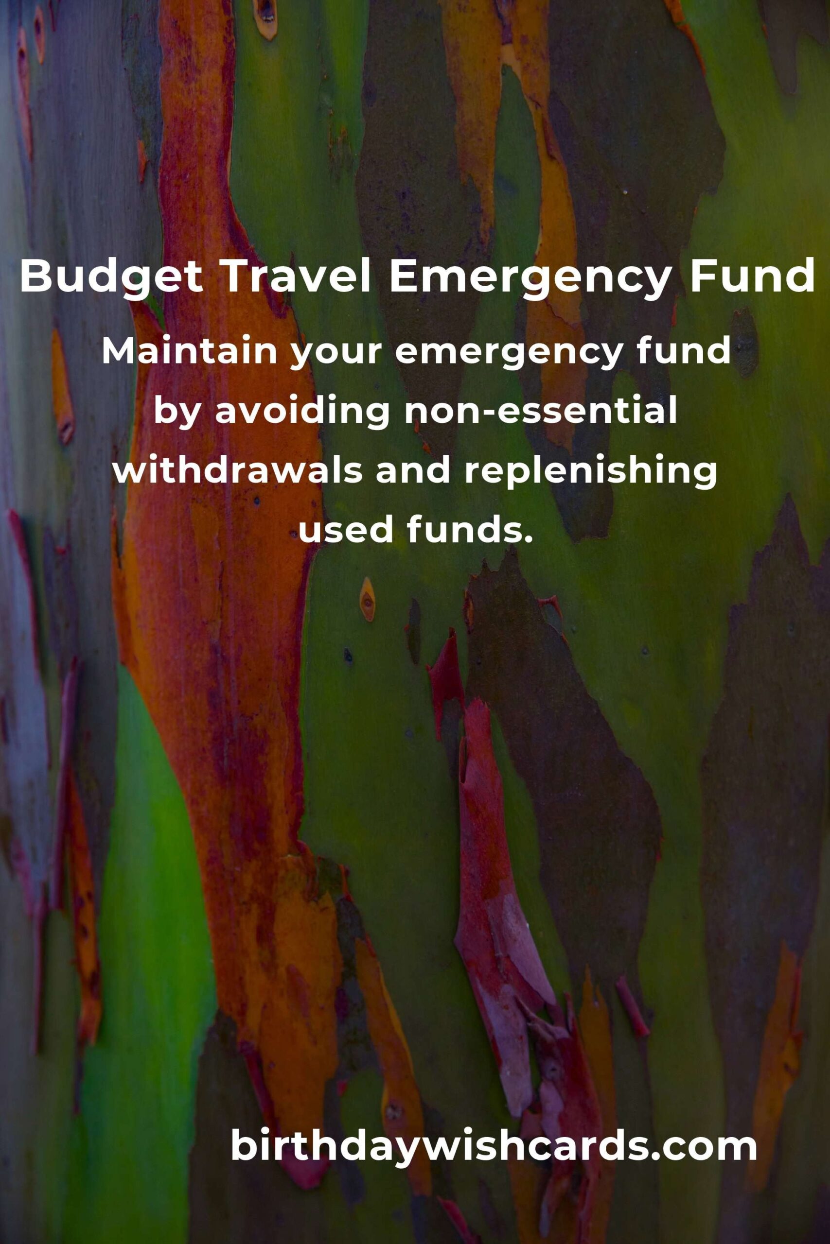 Complete Guide to Building an Emergency Fund for Budget Travelers