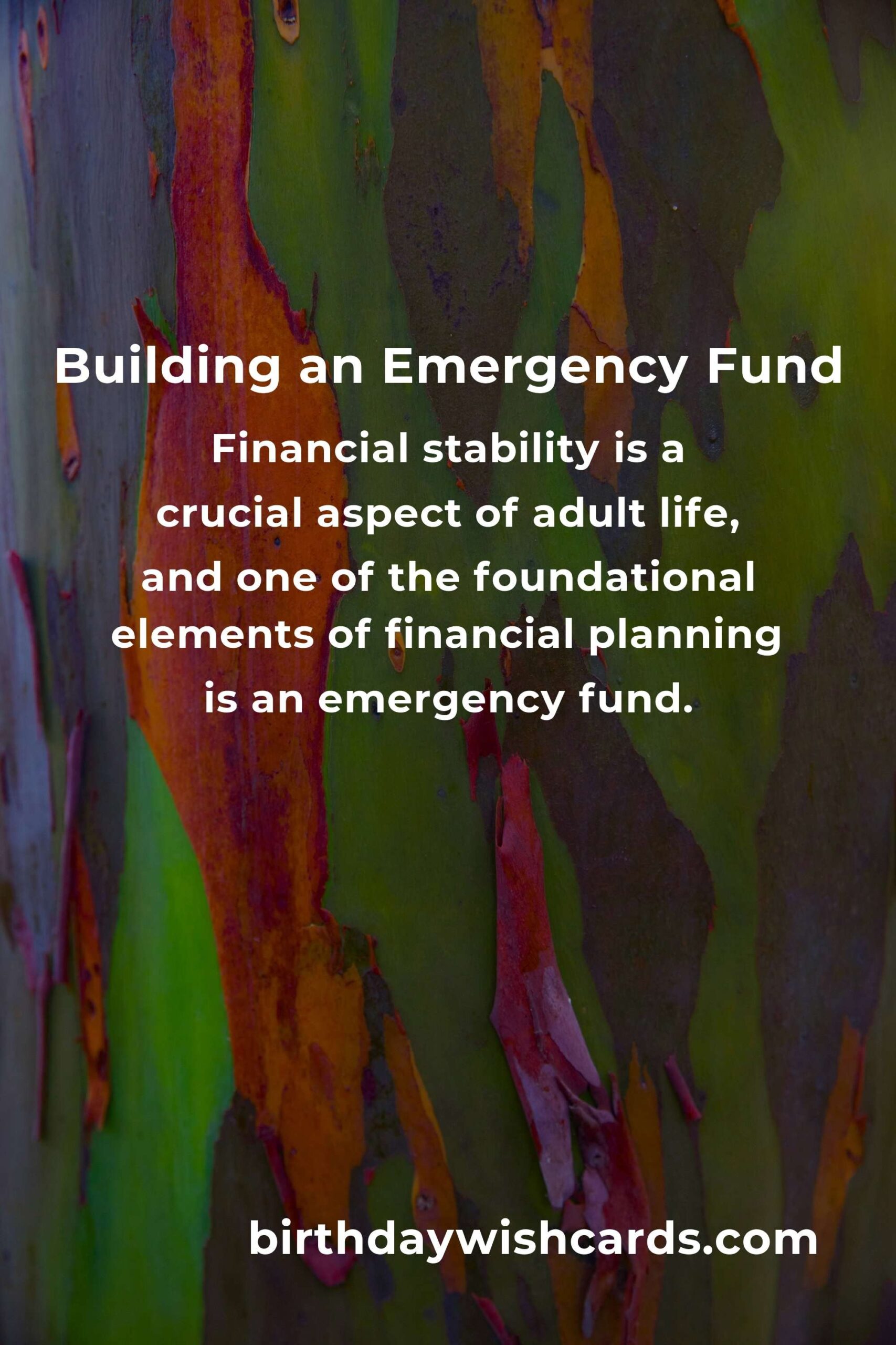 Complete Guide to Building an Emergency Fund for Young Adults