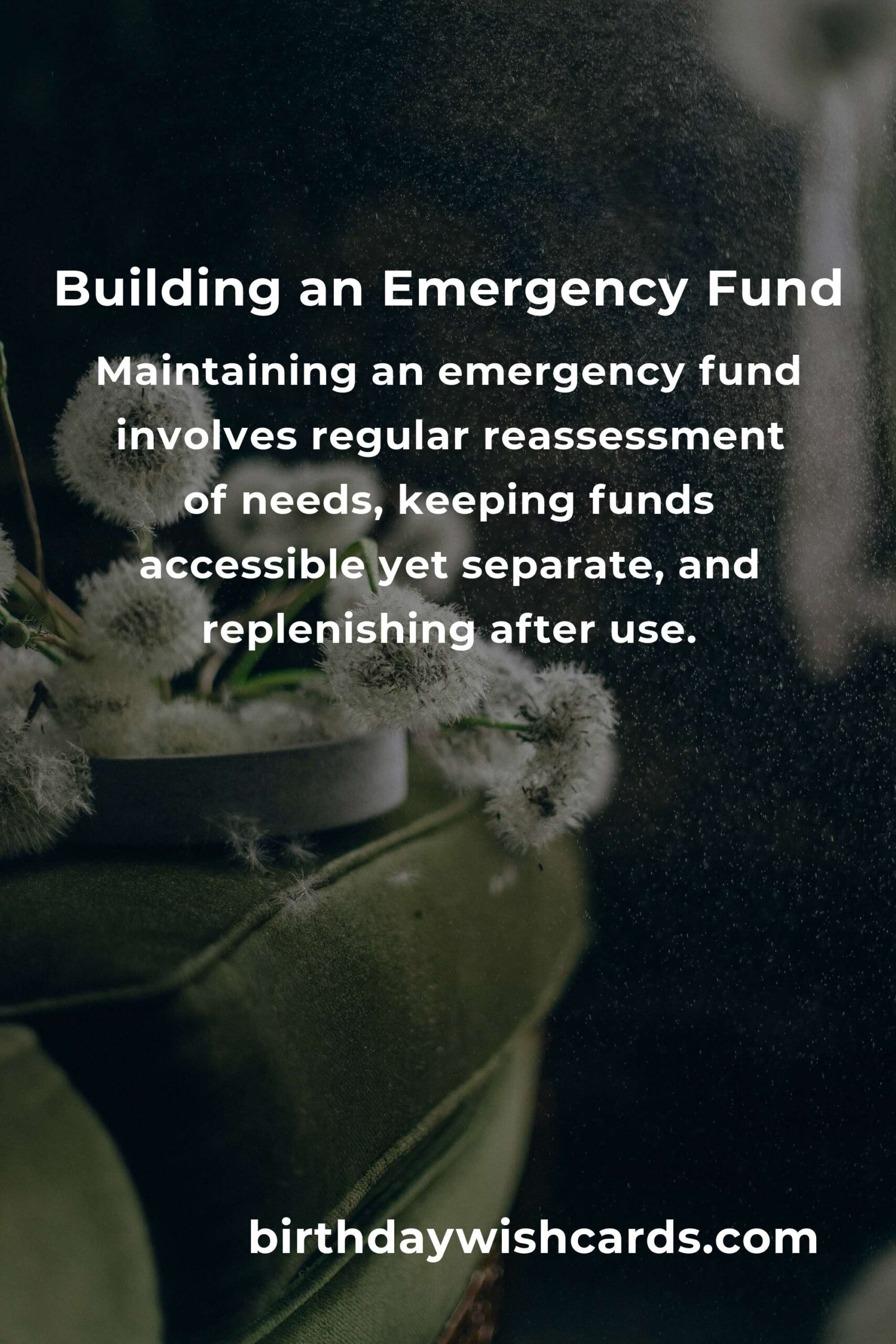 Complete Guide to Building an Emergency Fund for Young Adults