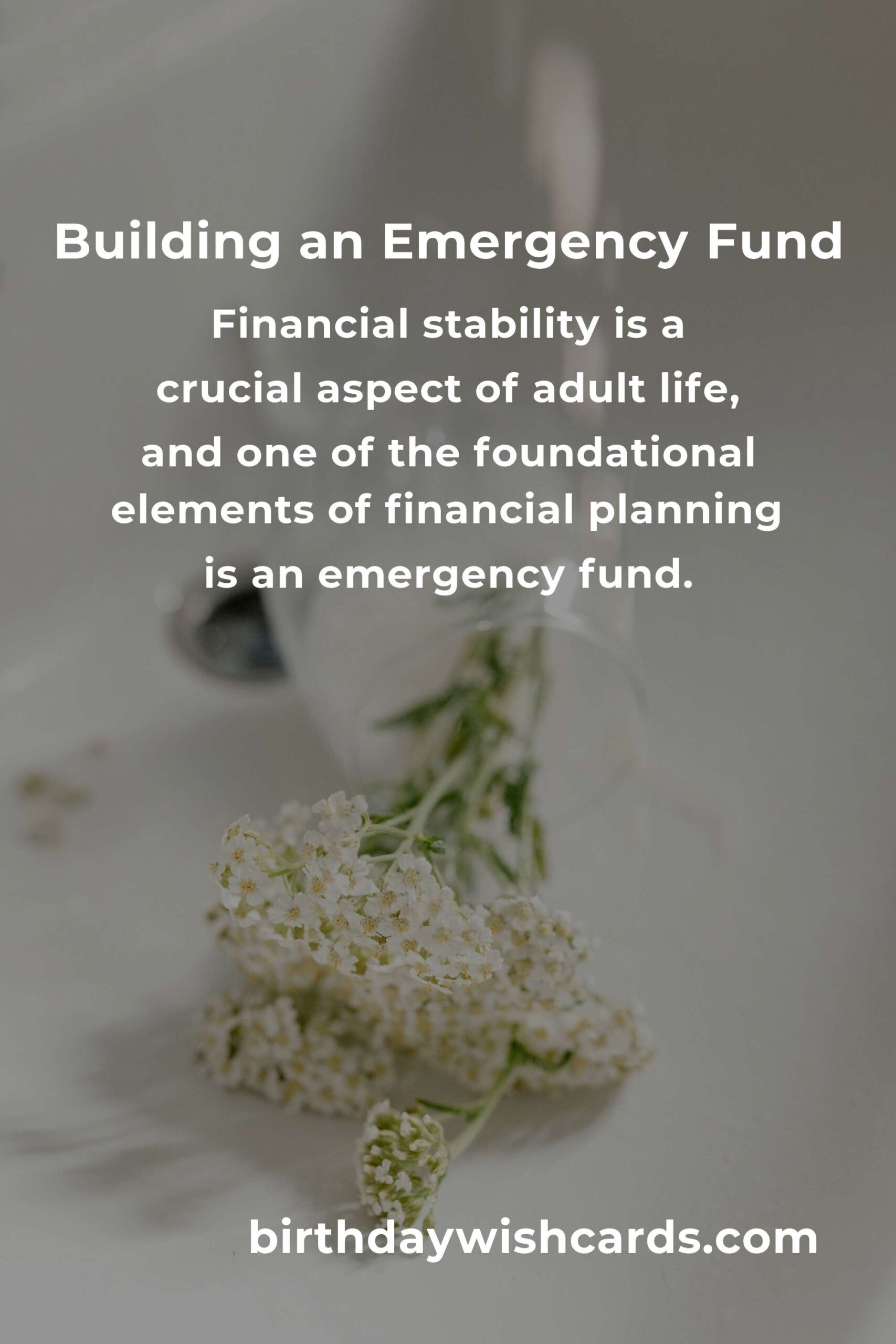 Complete Guide to Building an Emergency Fund for Young Adults