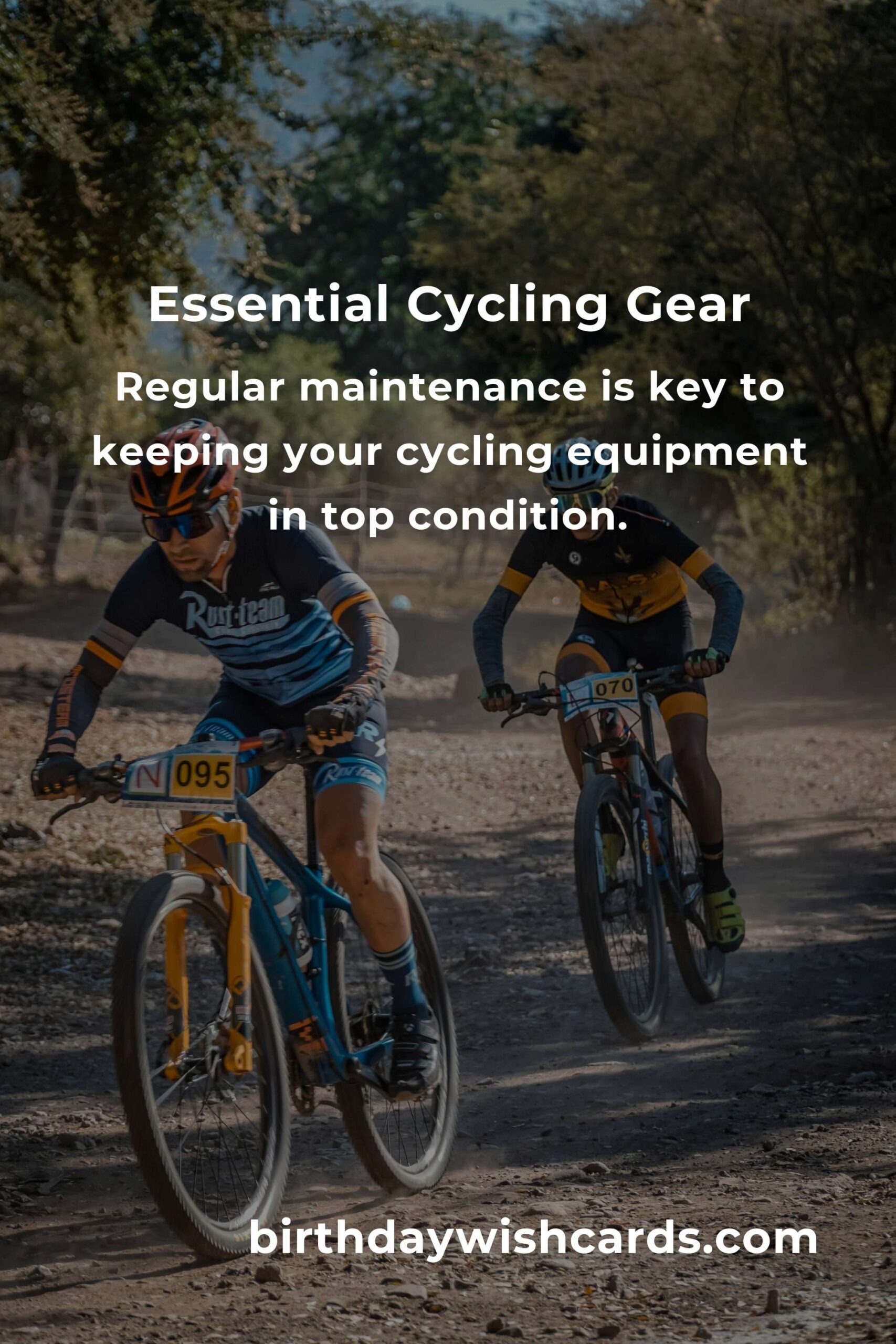 Comprehensive Cycling Equipment Guide for Freelancers