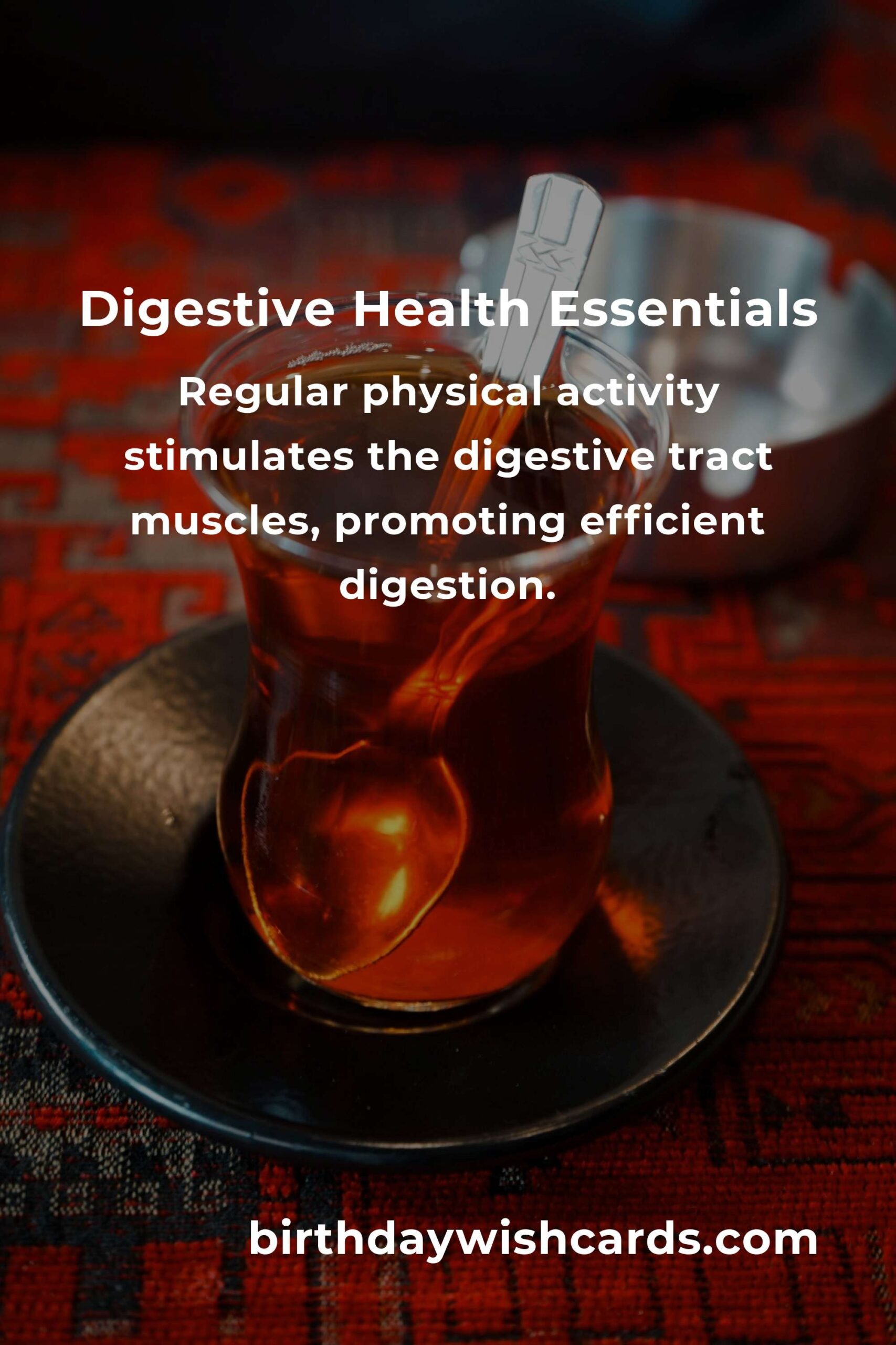 Comprehensive Digestive Health Guide for Beginners
