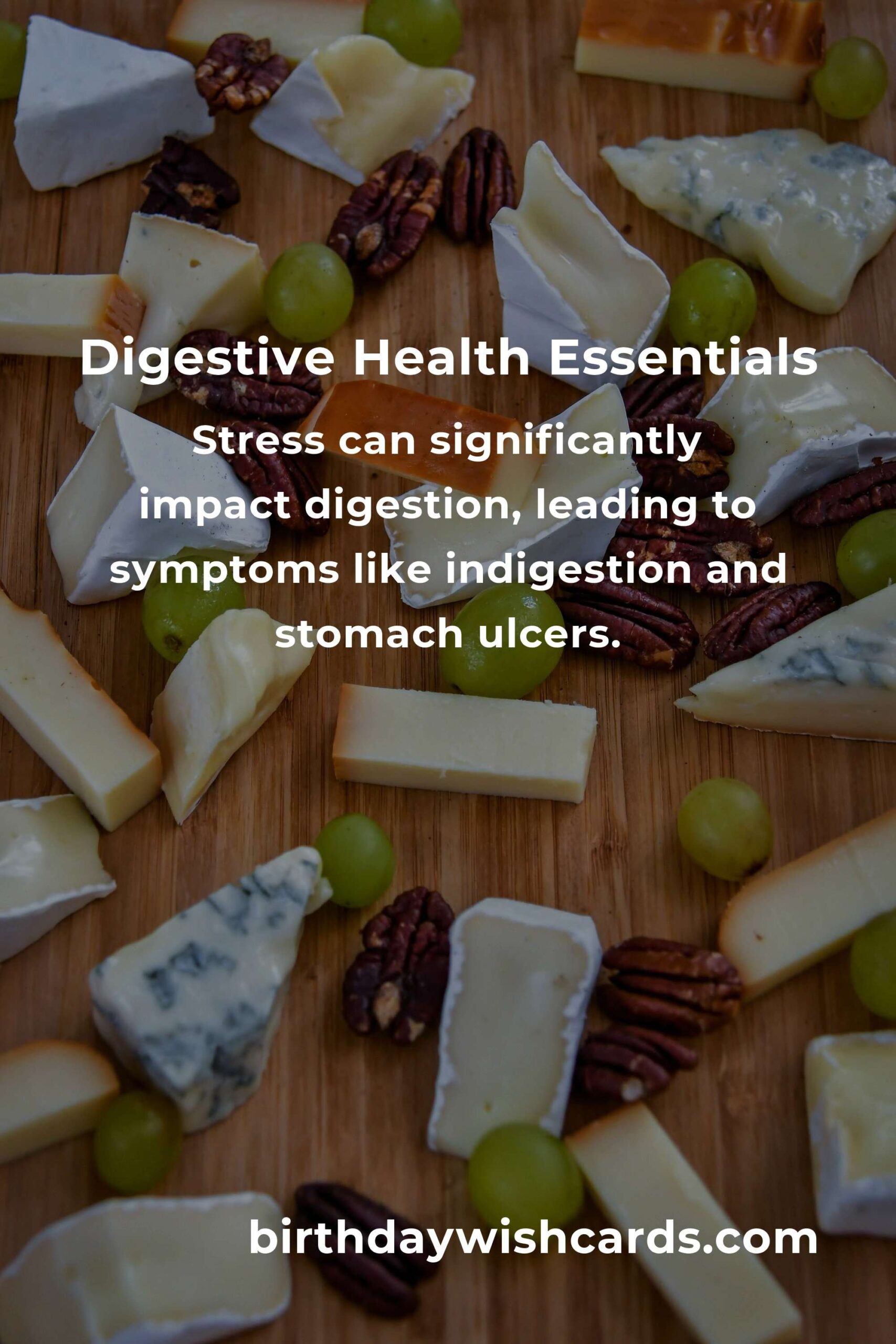 Comprehensive Digestive Health Guide for Beginners