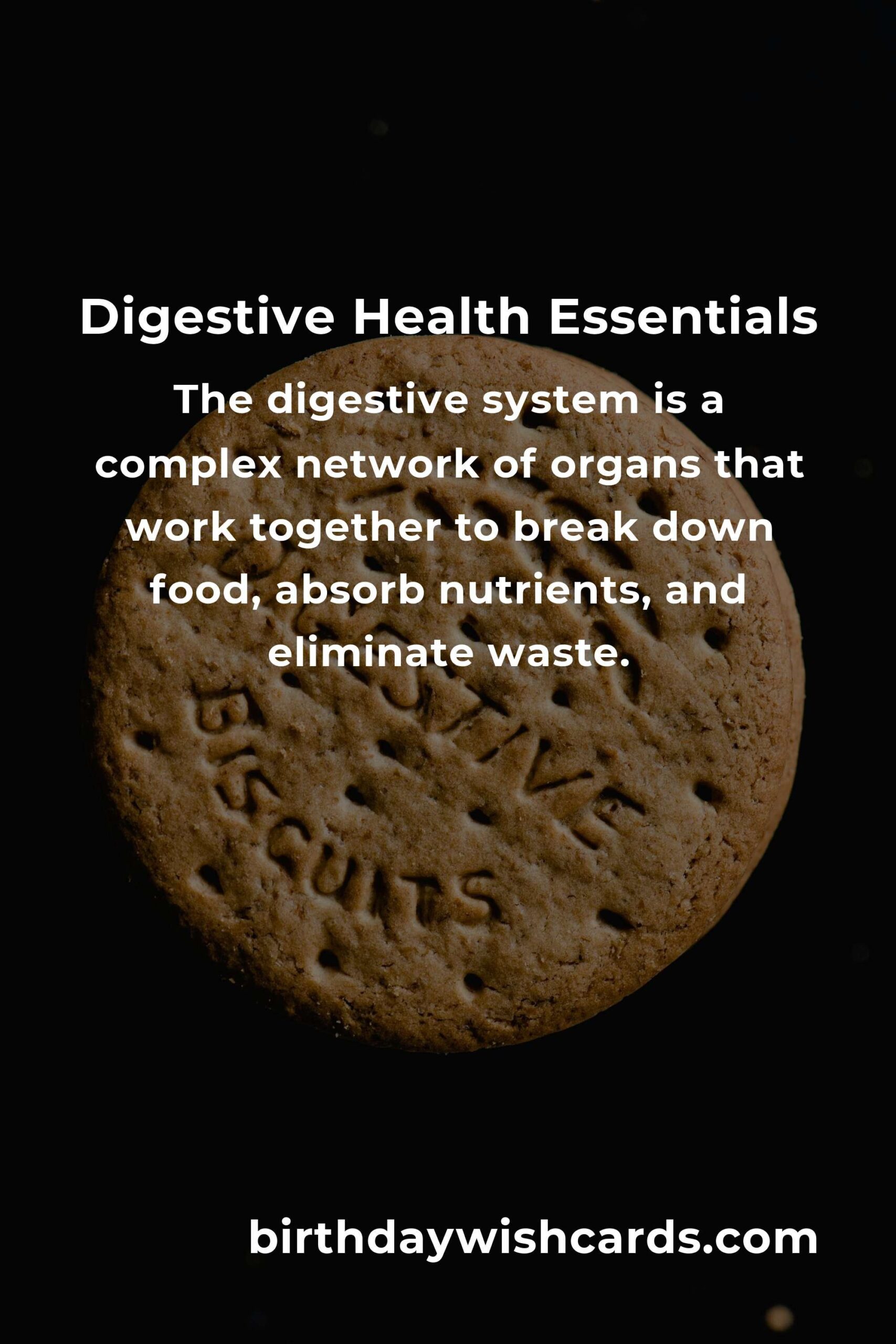 Comprehensive Digestive Health Guide for Beginners