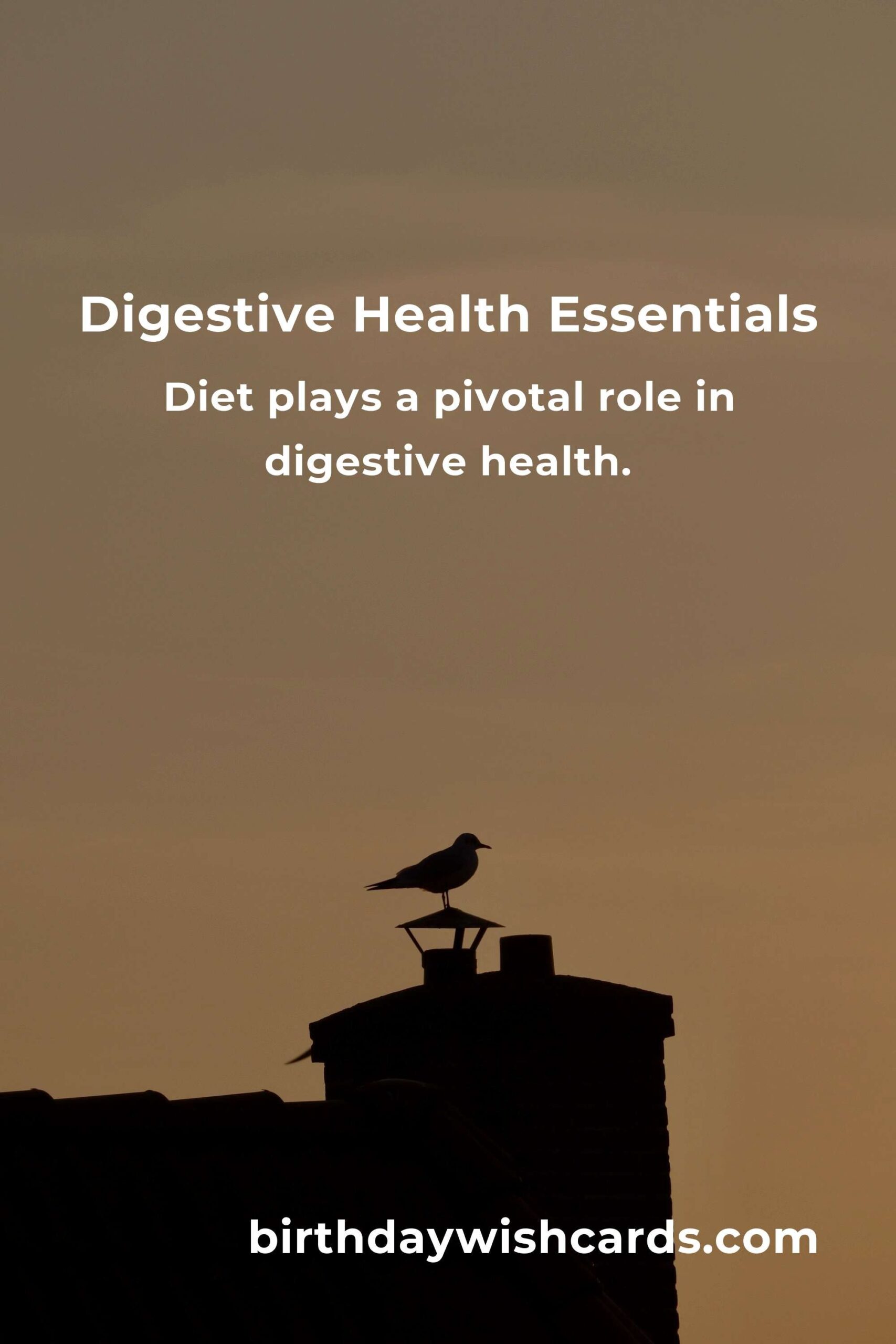 Comprehensive Digestive Health Guide for Beginners