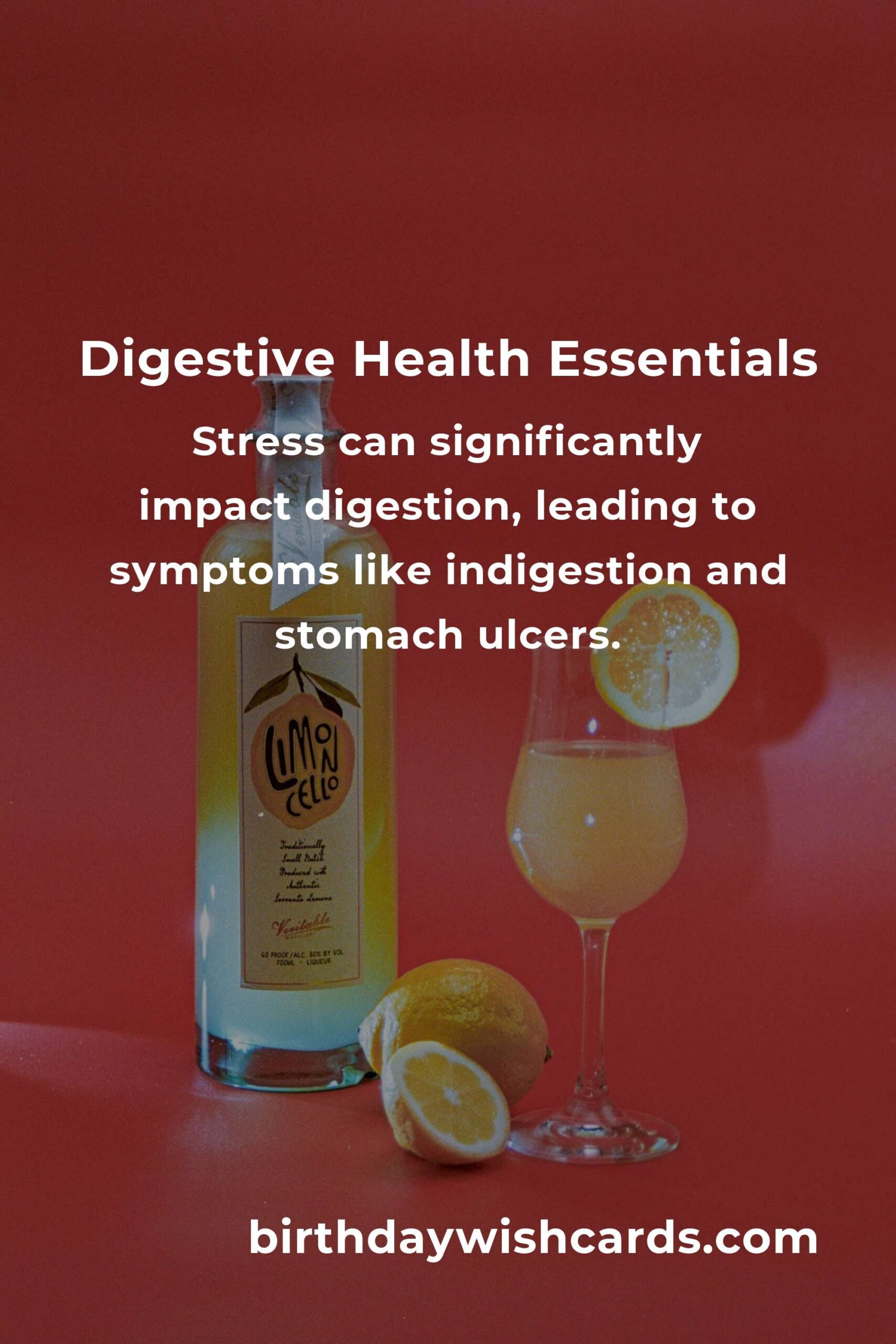 Comprehensive Digestive Health Guide for Beginners