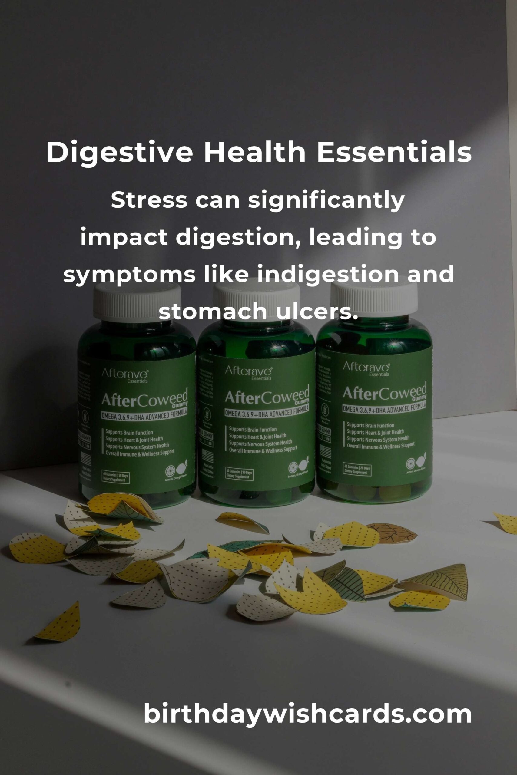 Comprehensive Digestive Health Guide for Beginners