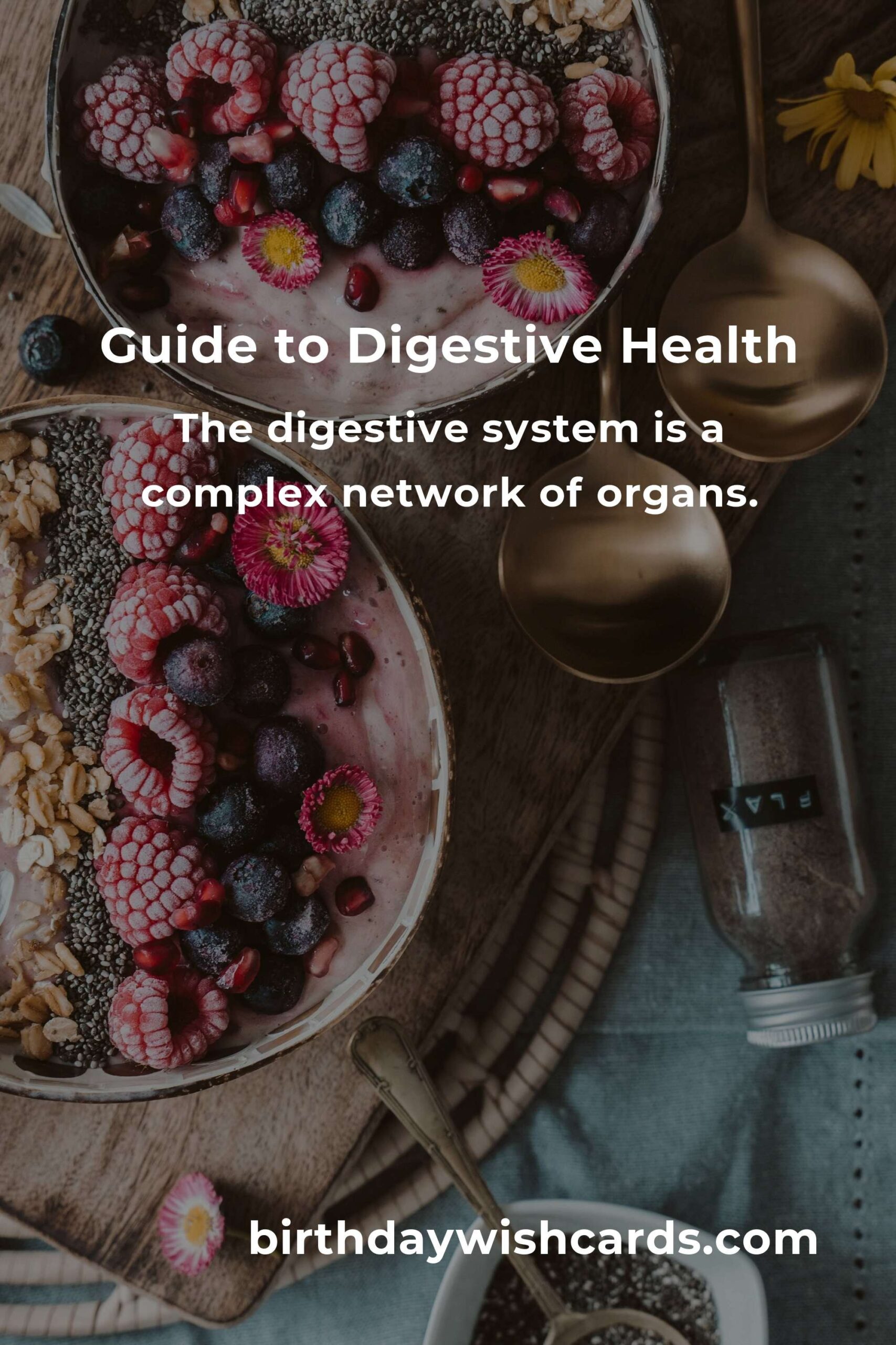 Comprehensive Digestive Health Guide for Professionals