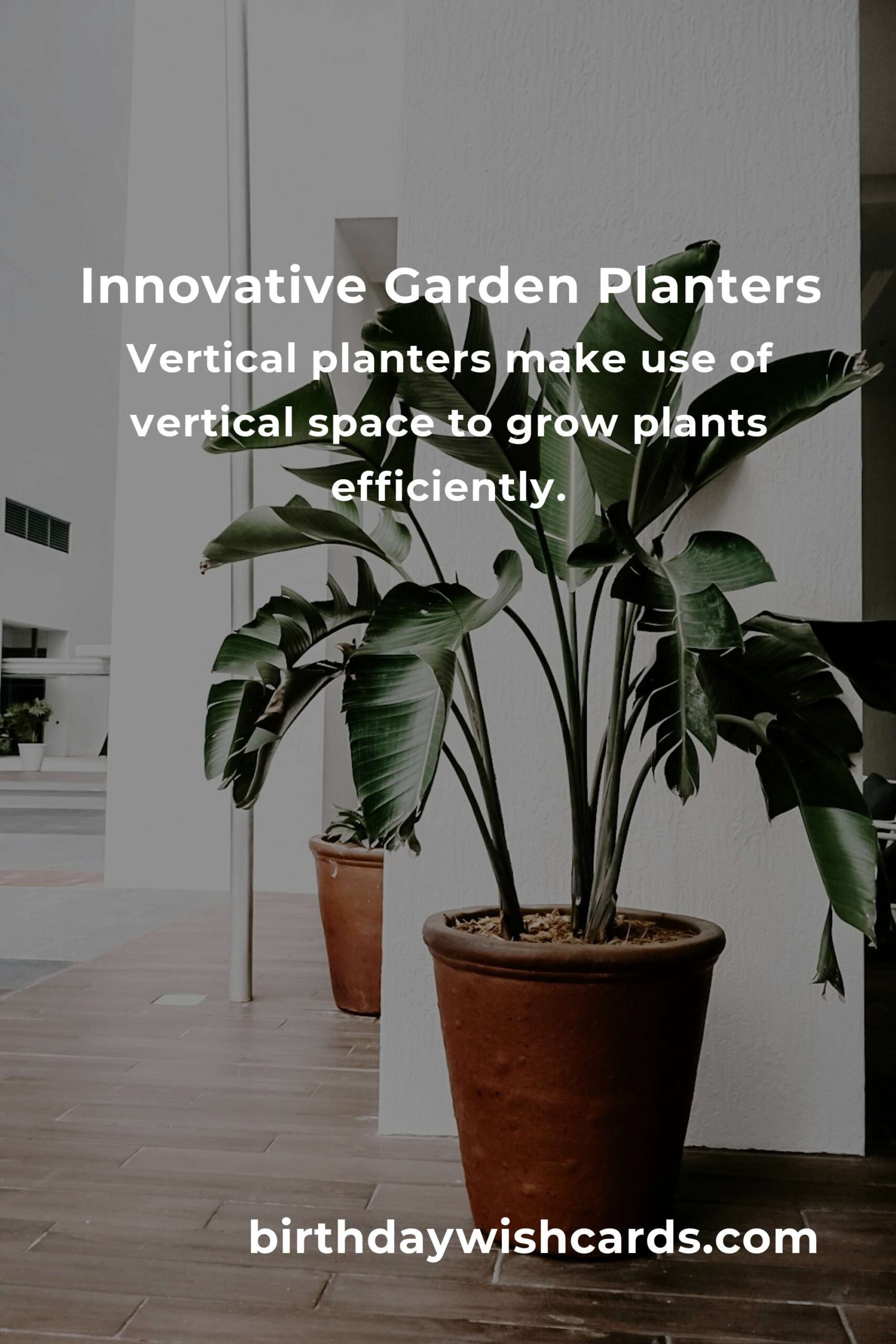 Creative Garden Planter Ideas for Retirees to Enjoy