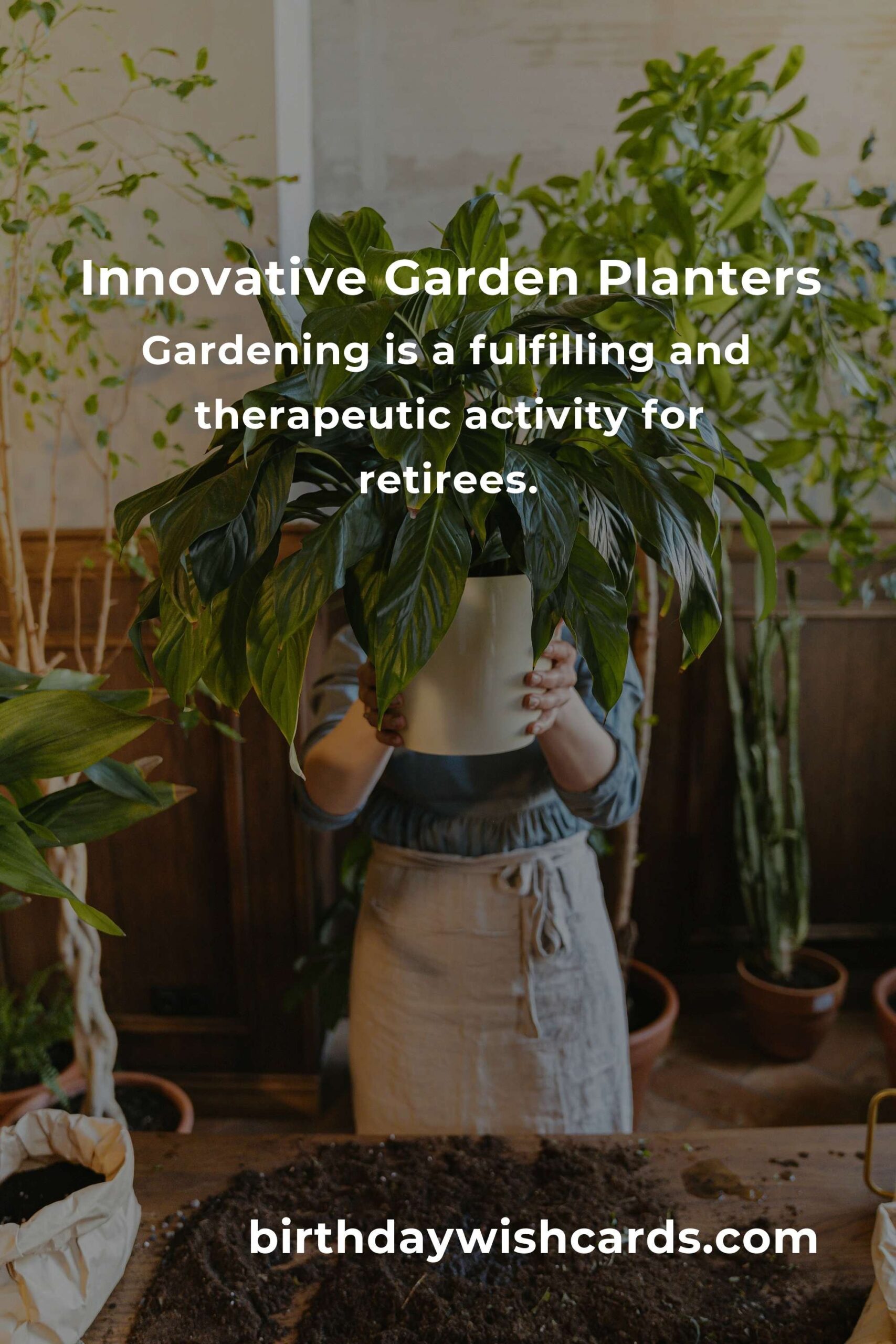 Creative Garden Planter Ideas for Retirees to Enjoy