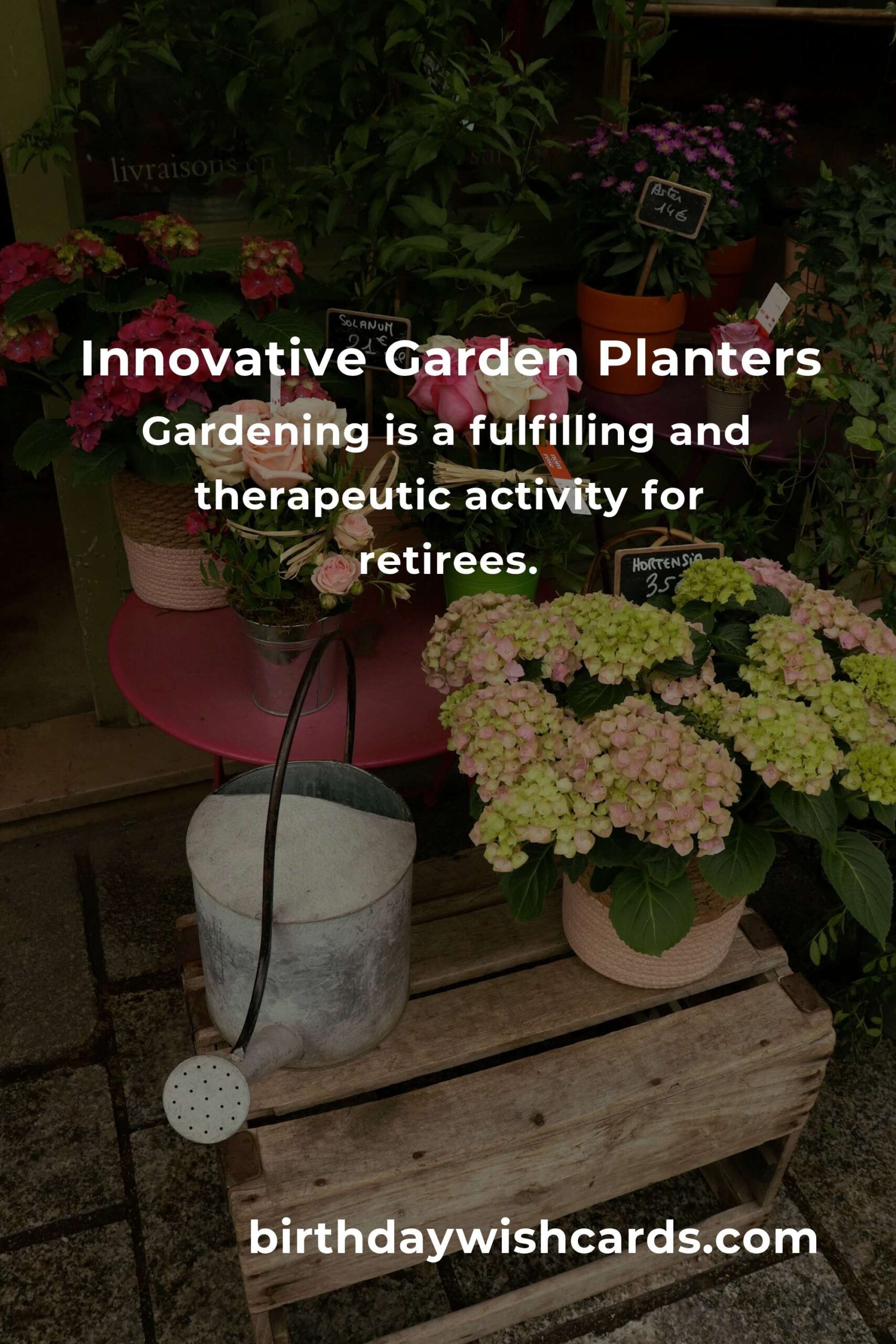 Creative Garden Planter Ideas for Retirees to Enjoy