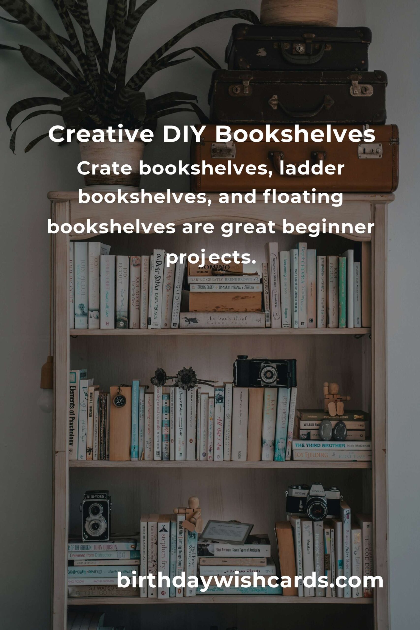 DIY Bookshelf Projects for Beginners: Easy and Creative Ideas