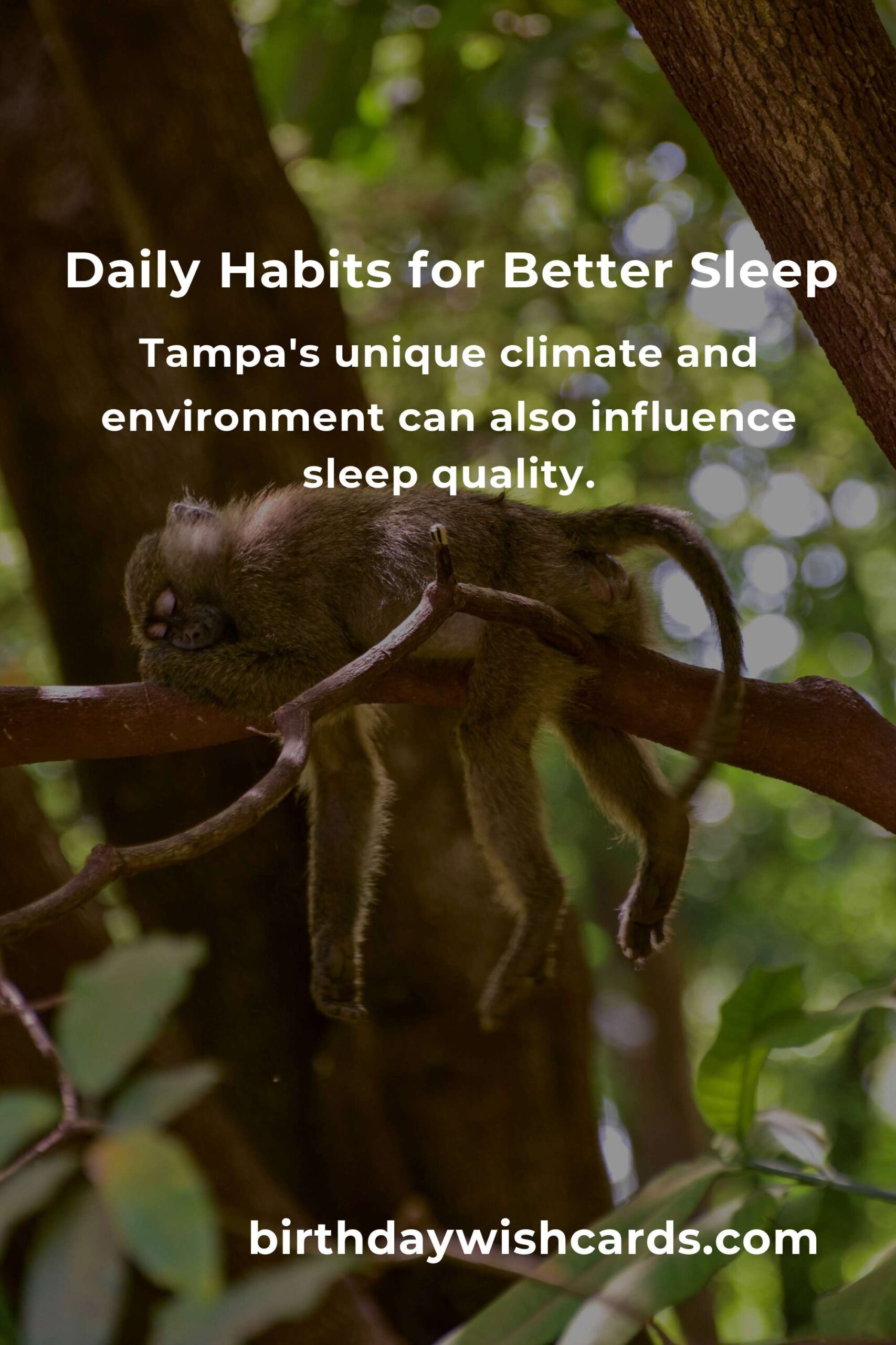 Daily Habits for Improved Sleep Quality in Tampa