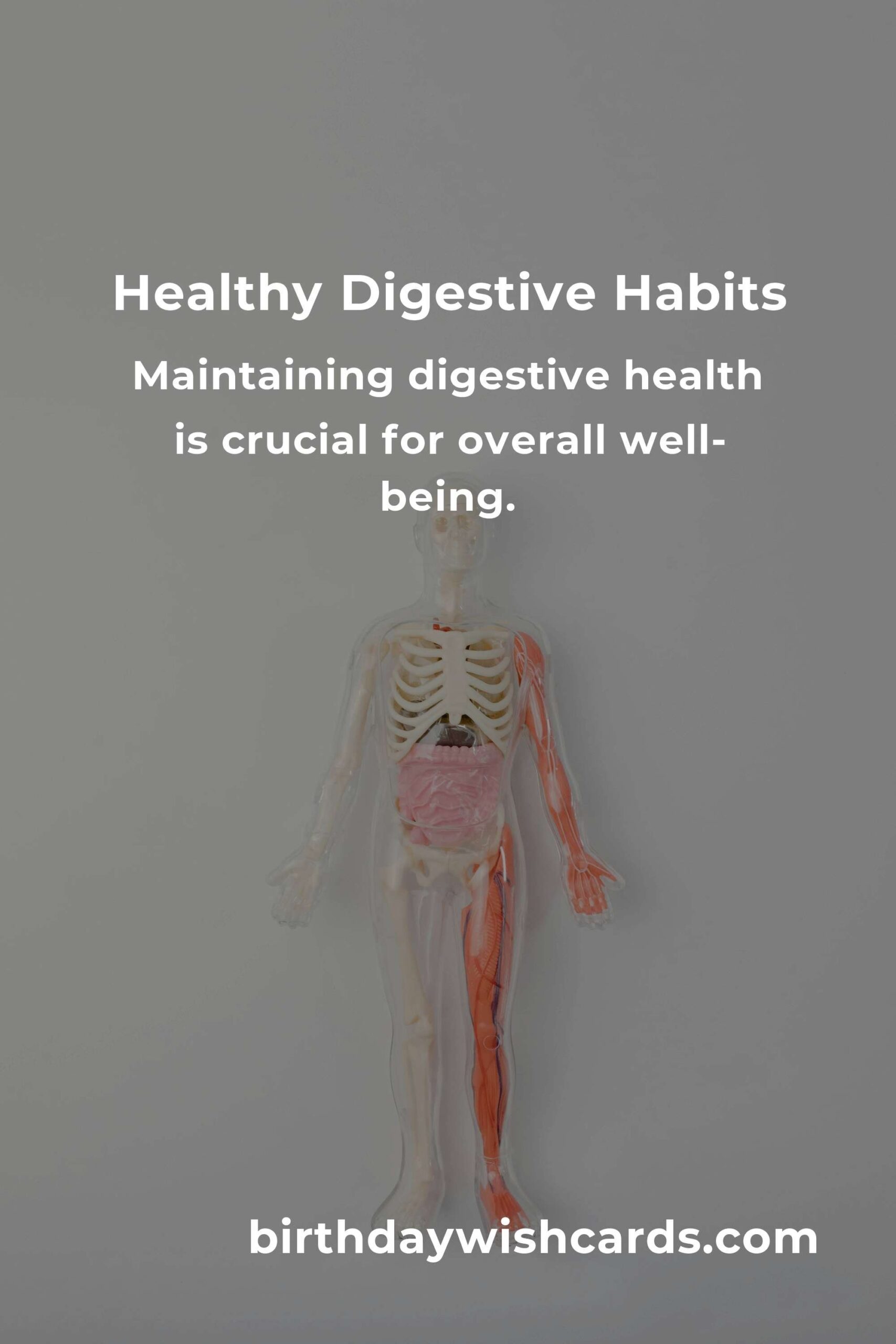 Daily Habits for Optimal Digestive Health in Hamburg
