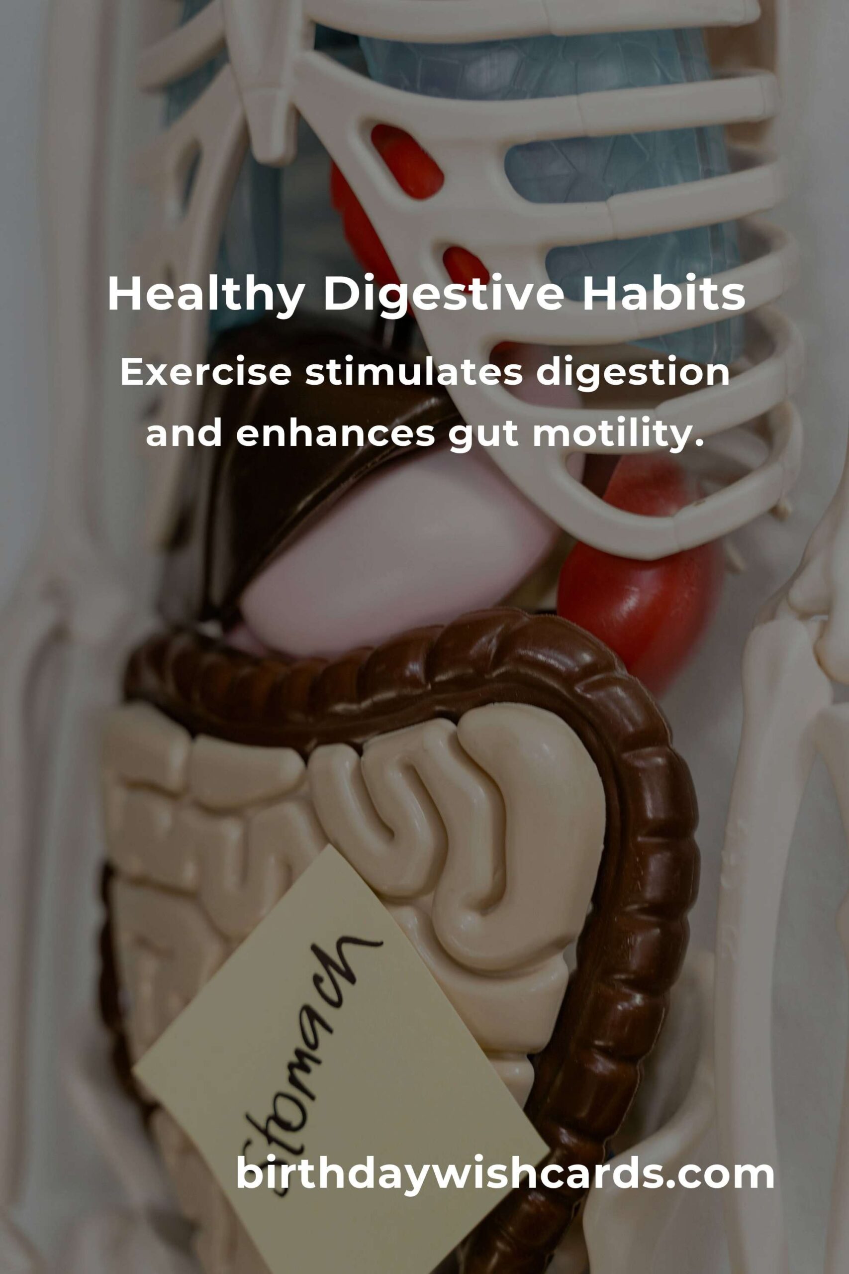 Daily Habits for Optimal Digestive Health in Hamburg