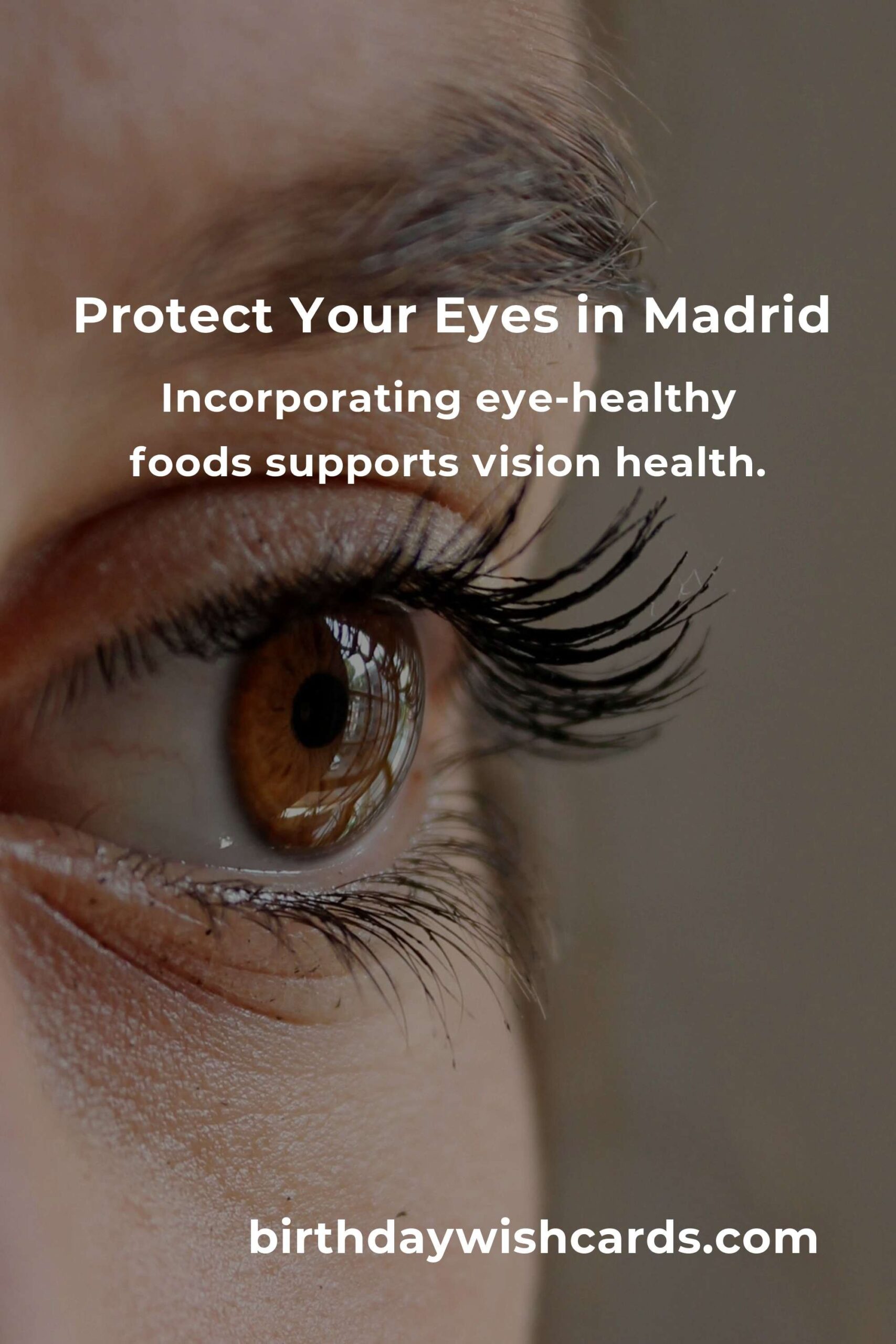 Daily Habits for Optimal Eye Health in Madrid