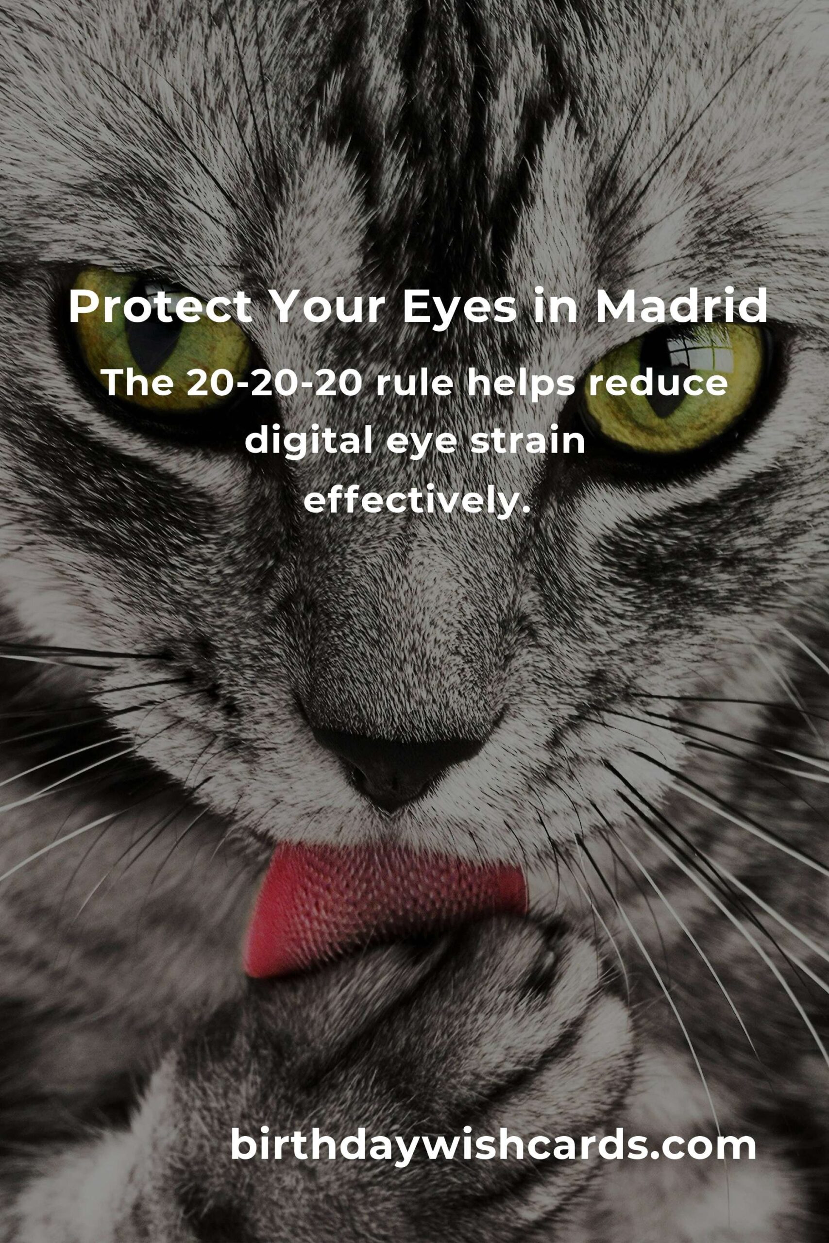 Daily Habits for Optimal Eye Health in Madrid