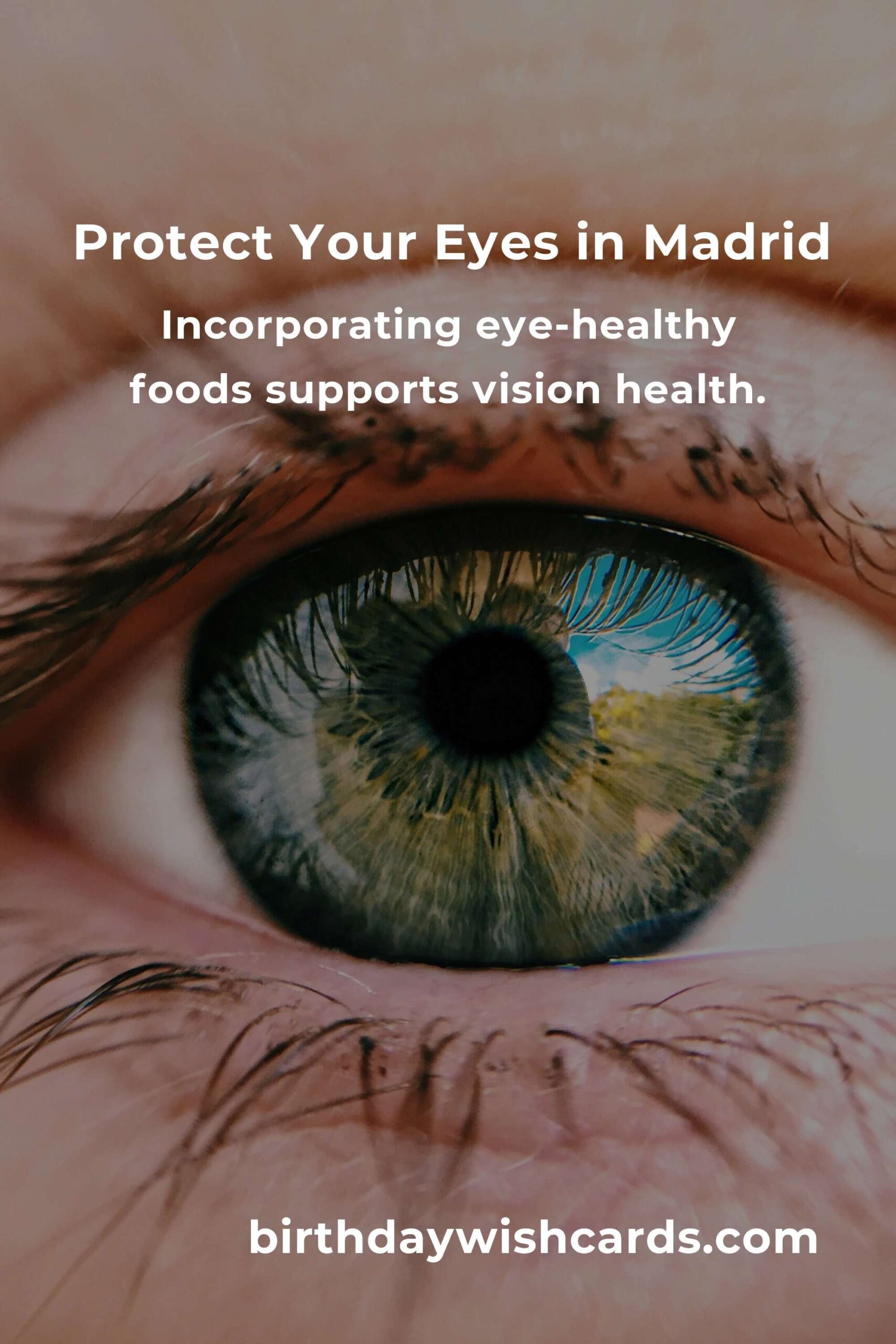 Daily Habits for Optimal Eye Health in Madrid