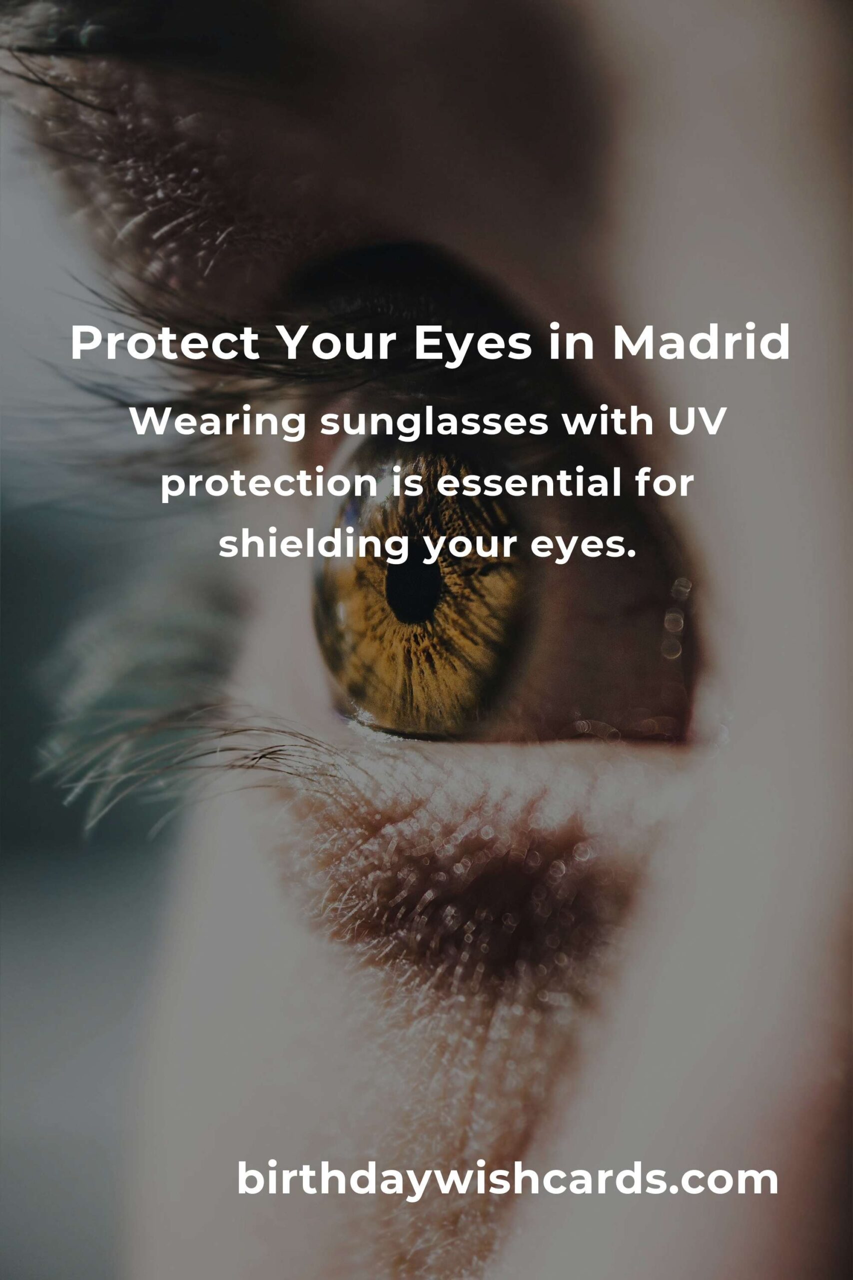 Daily Habits for Optimal Eye Health in Madrid