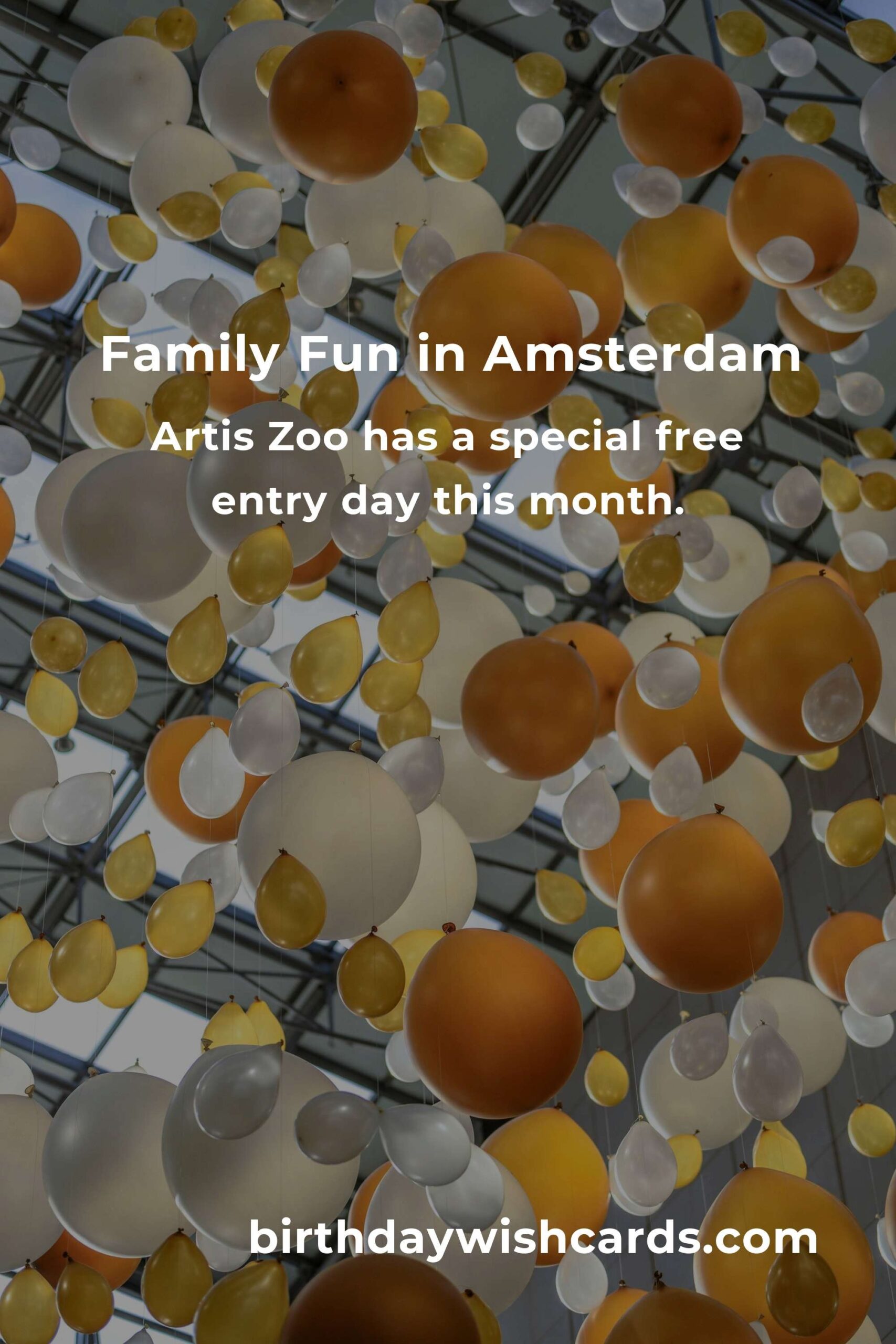 Discover Free Family Events in Amsterdam This Month