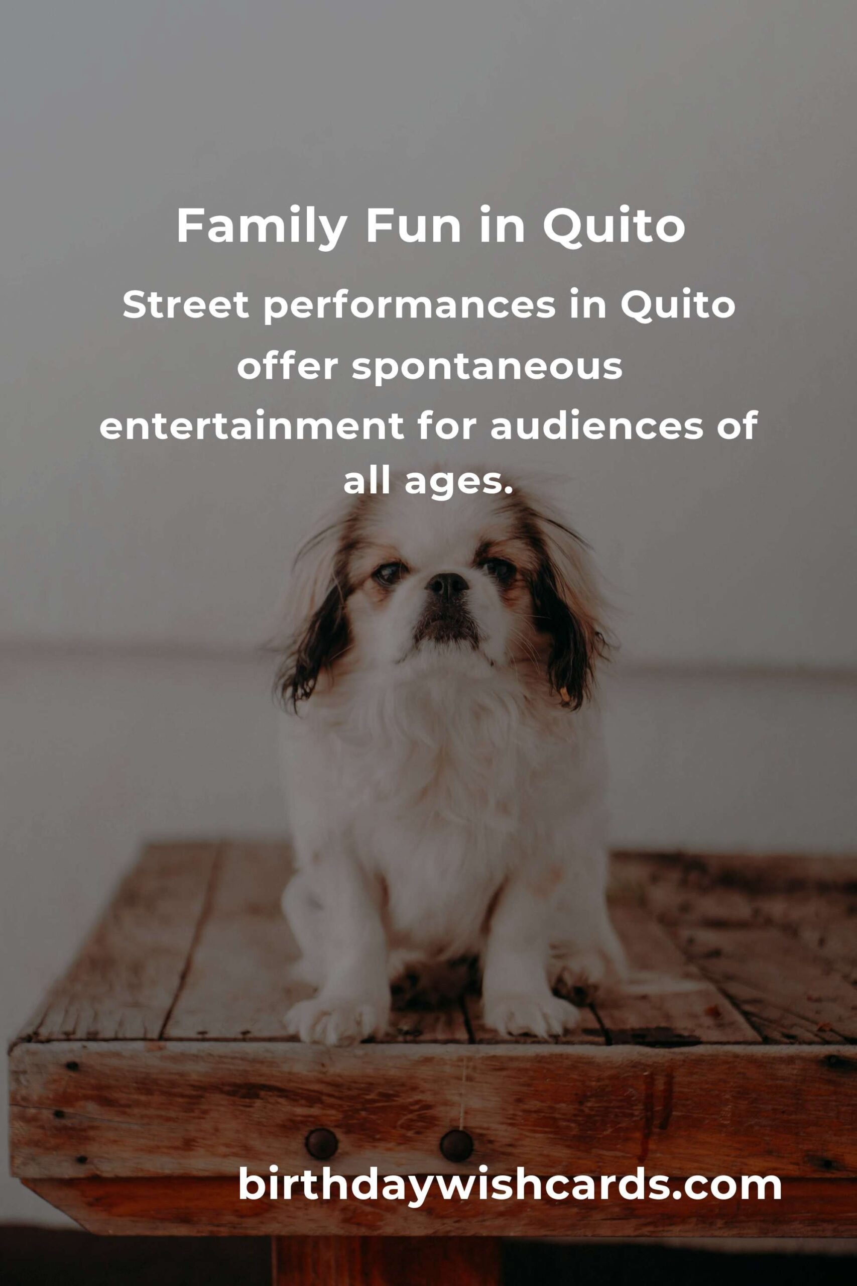 Discover Free Family Events in Quito This Month