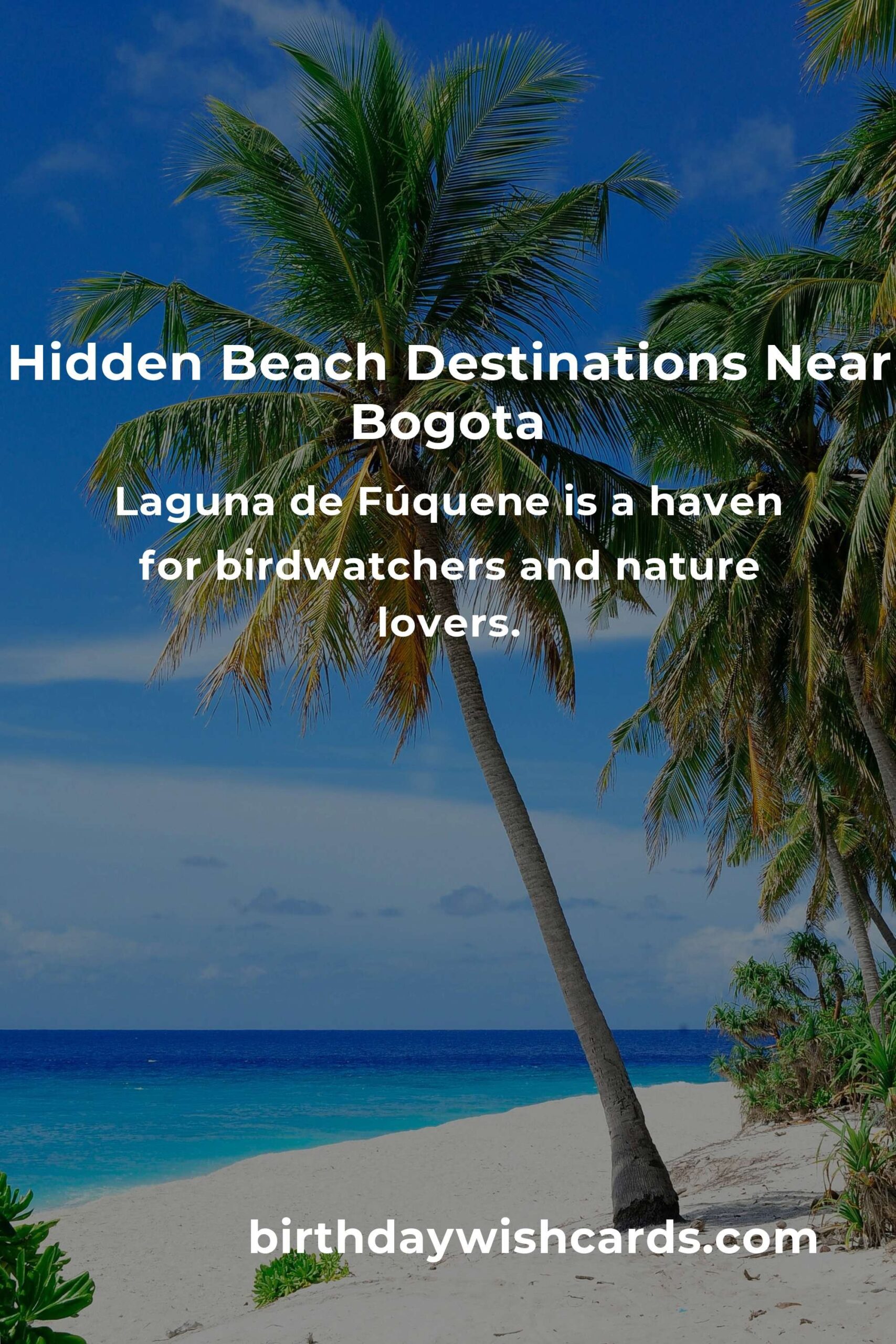 Discover Hidden Beach Vacations in Bogota You Must See