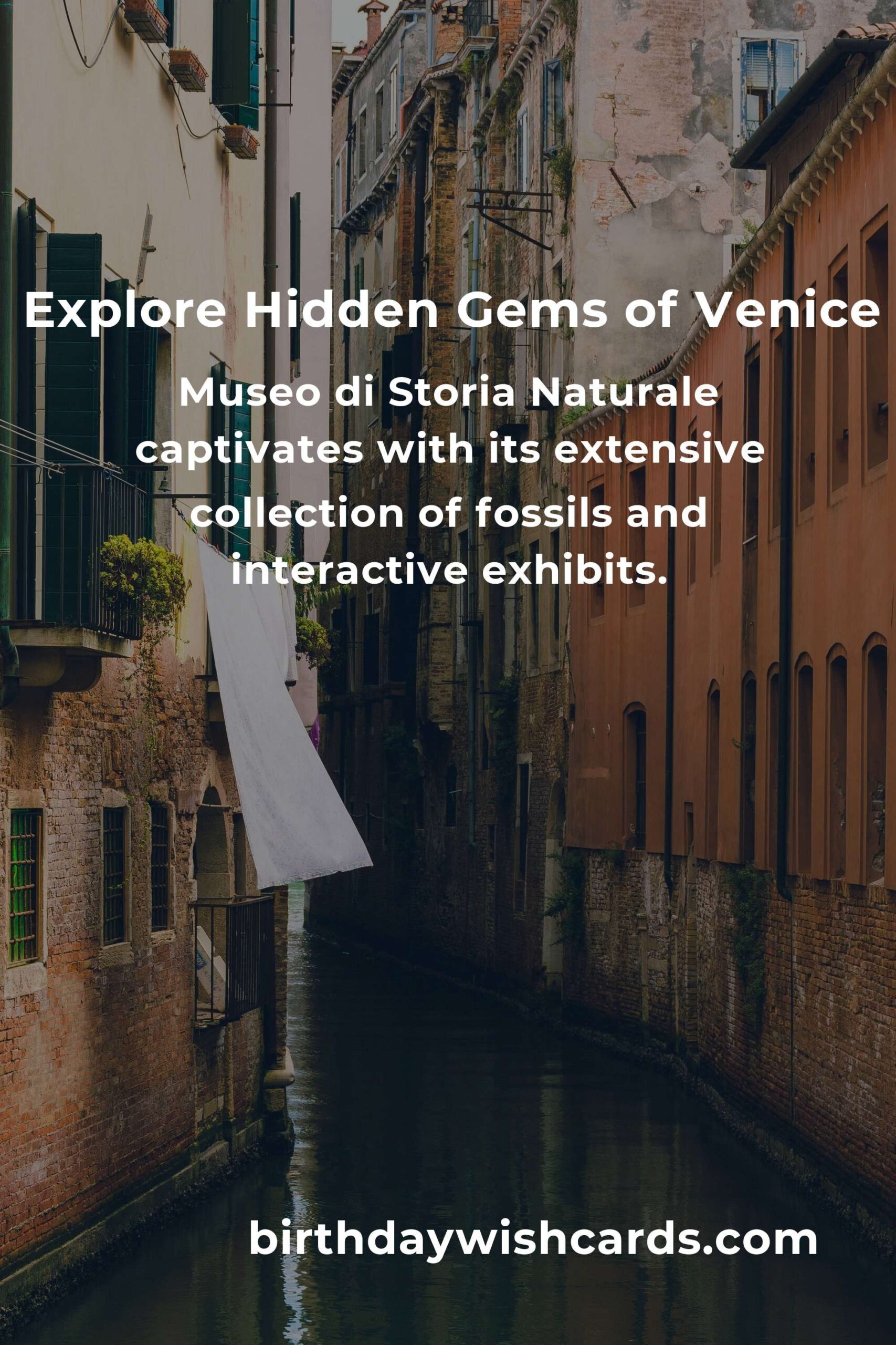 Discover Hidden Family Destinations in Venice You Must See