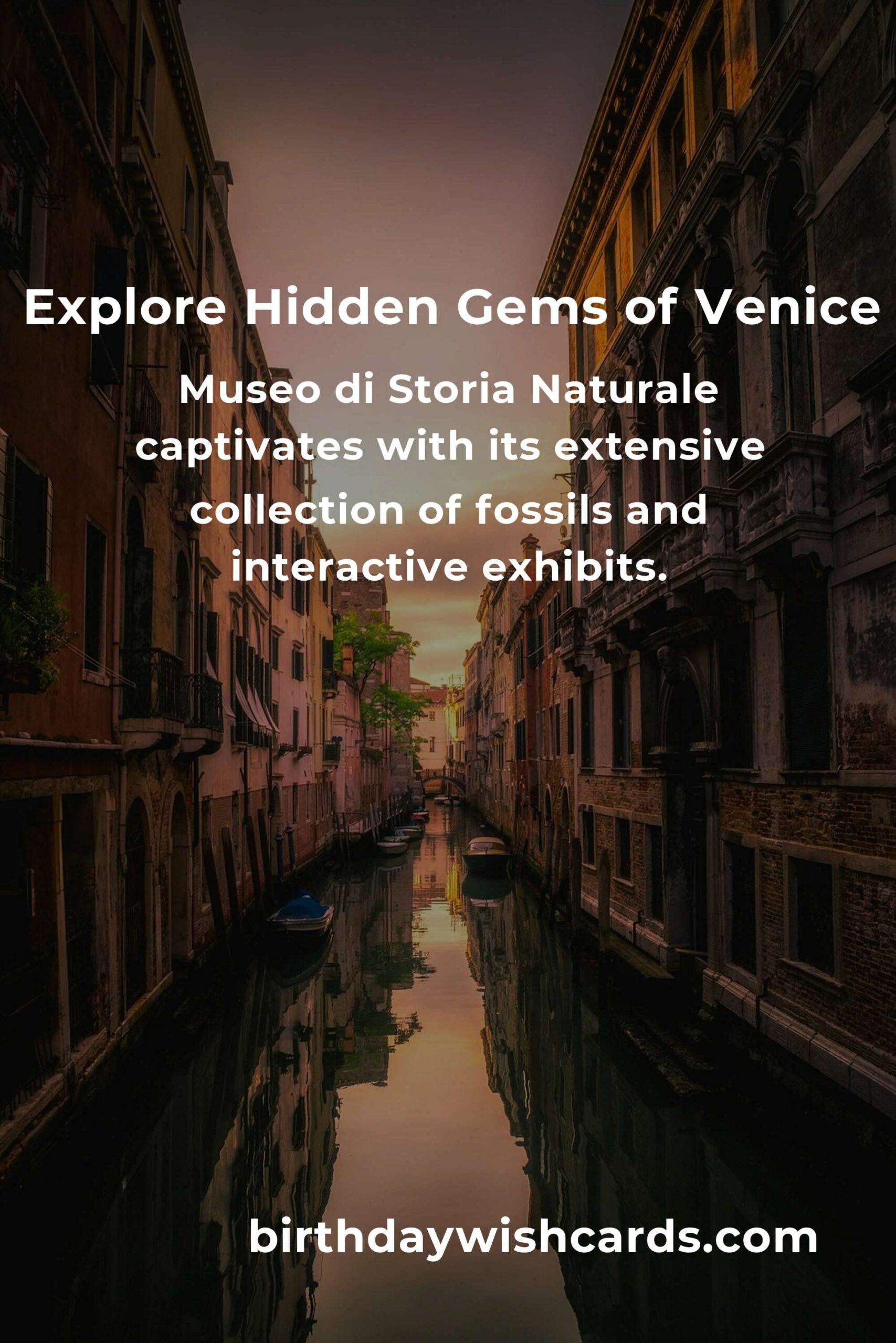 Discover Hidden Family Destinations in Venice You Must See