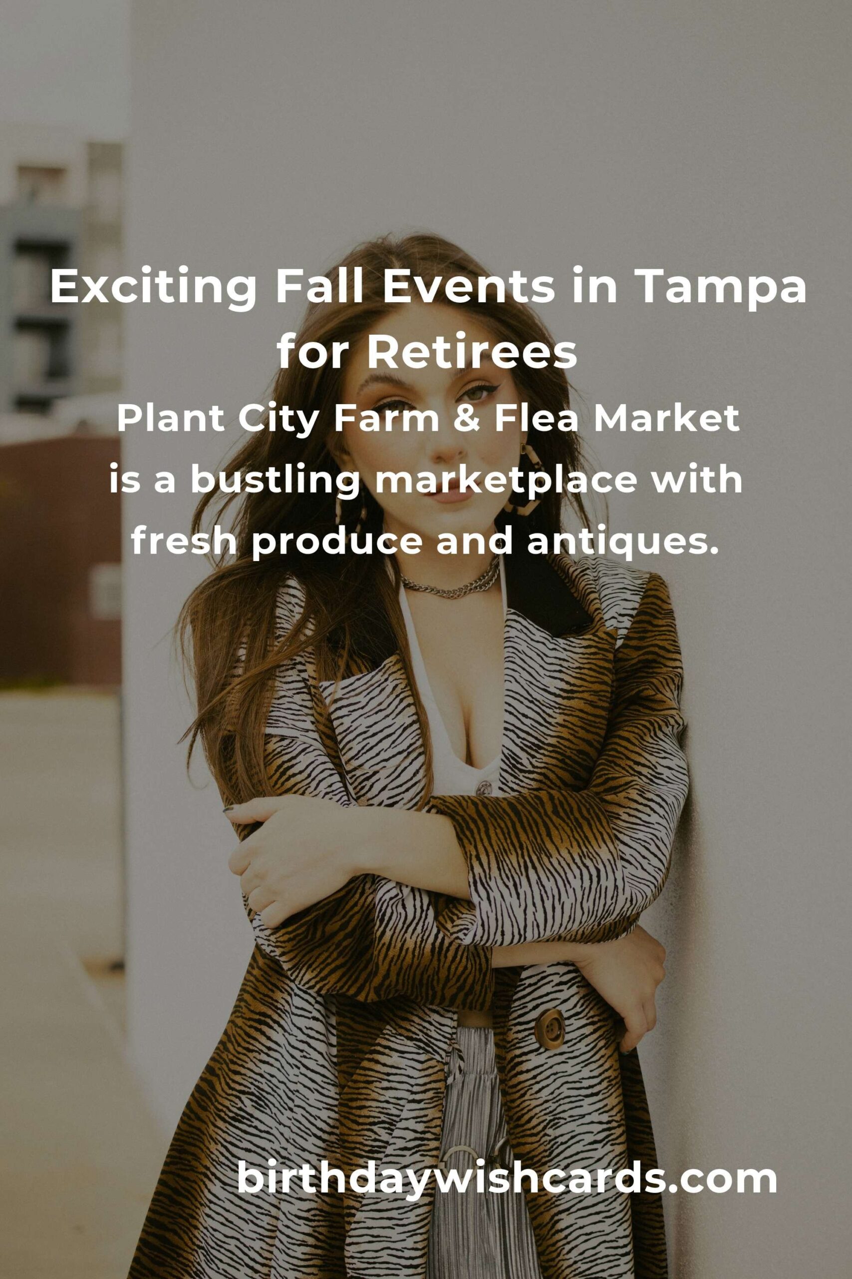 Discover the Best Fall Events in Tampa for Retirees