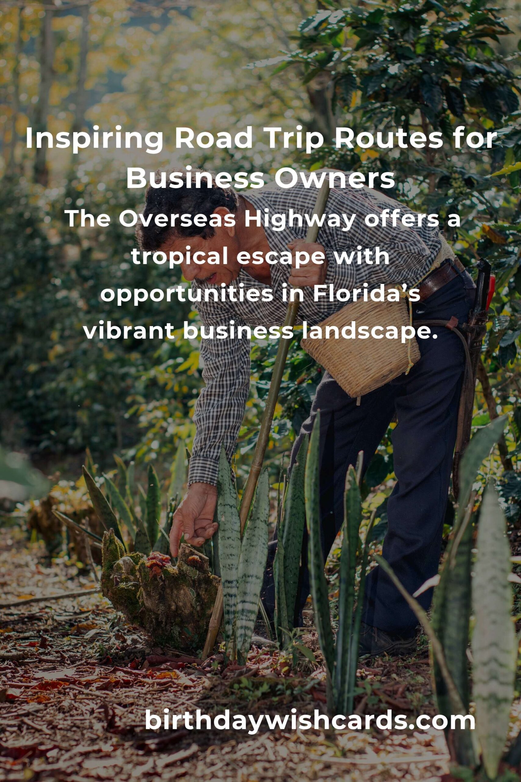 Discover the Best Road Trip Routes for Small Business Owners in 2025