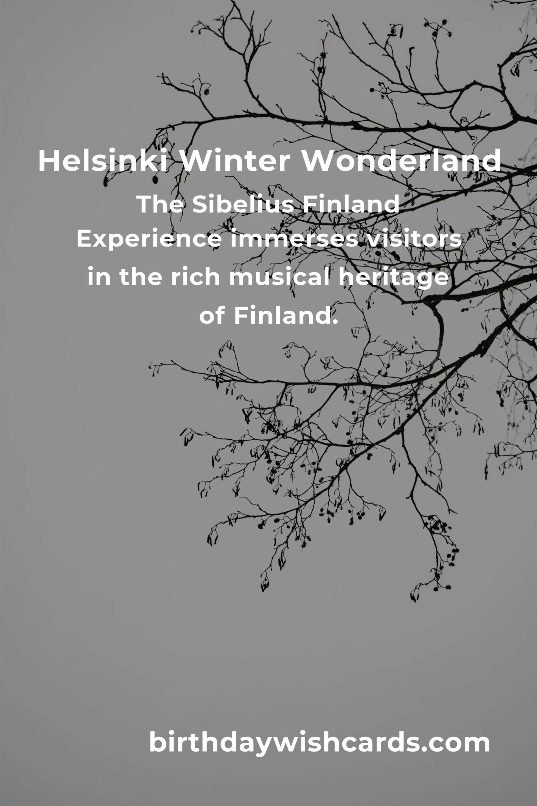 Discover the Best Winter Events in Helsinki for Empty Nesters