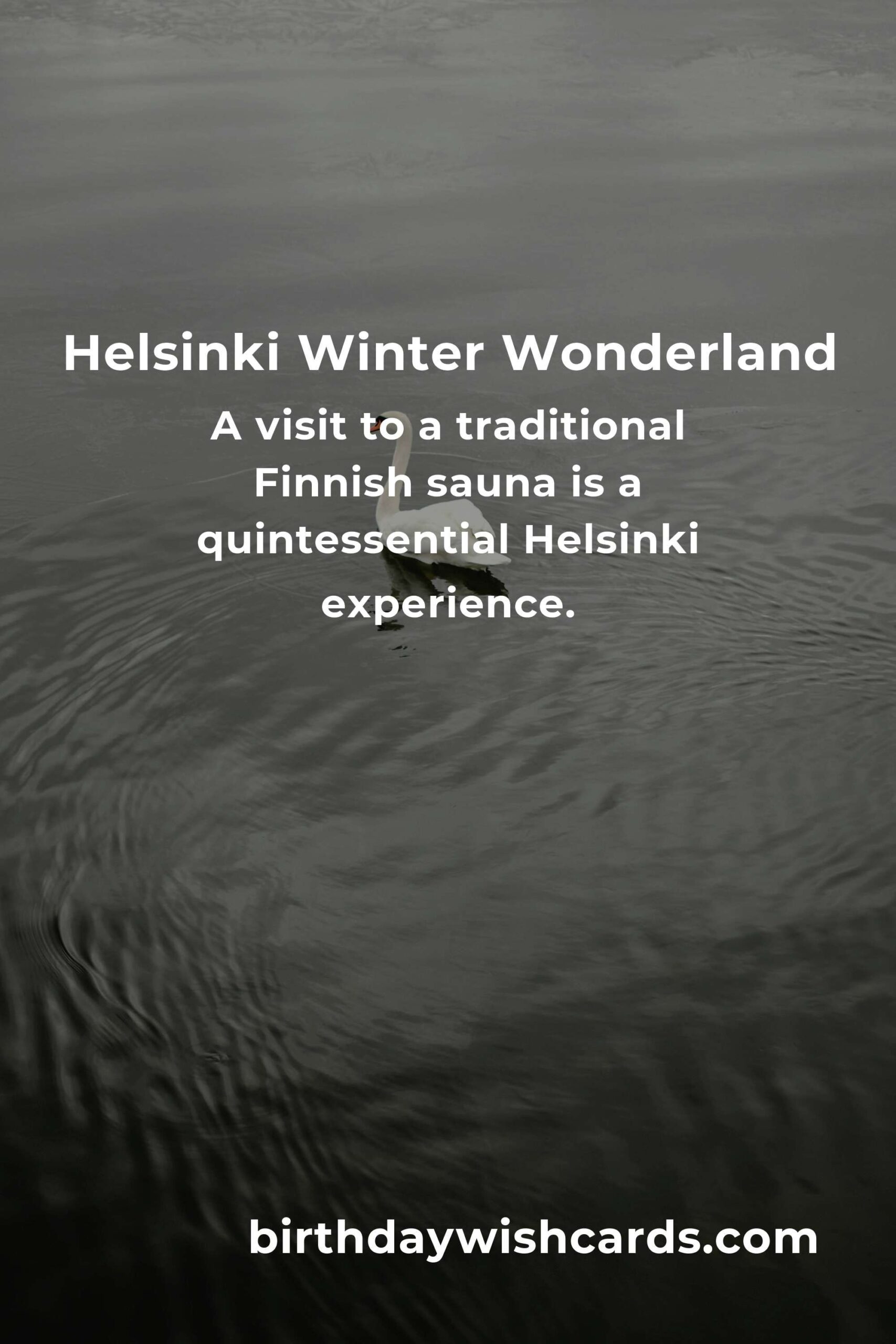 Discover the Best Winter Events in Helsinki for Empty Nesters