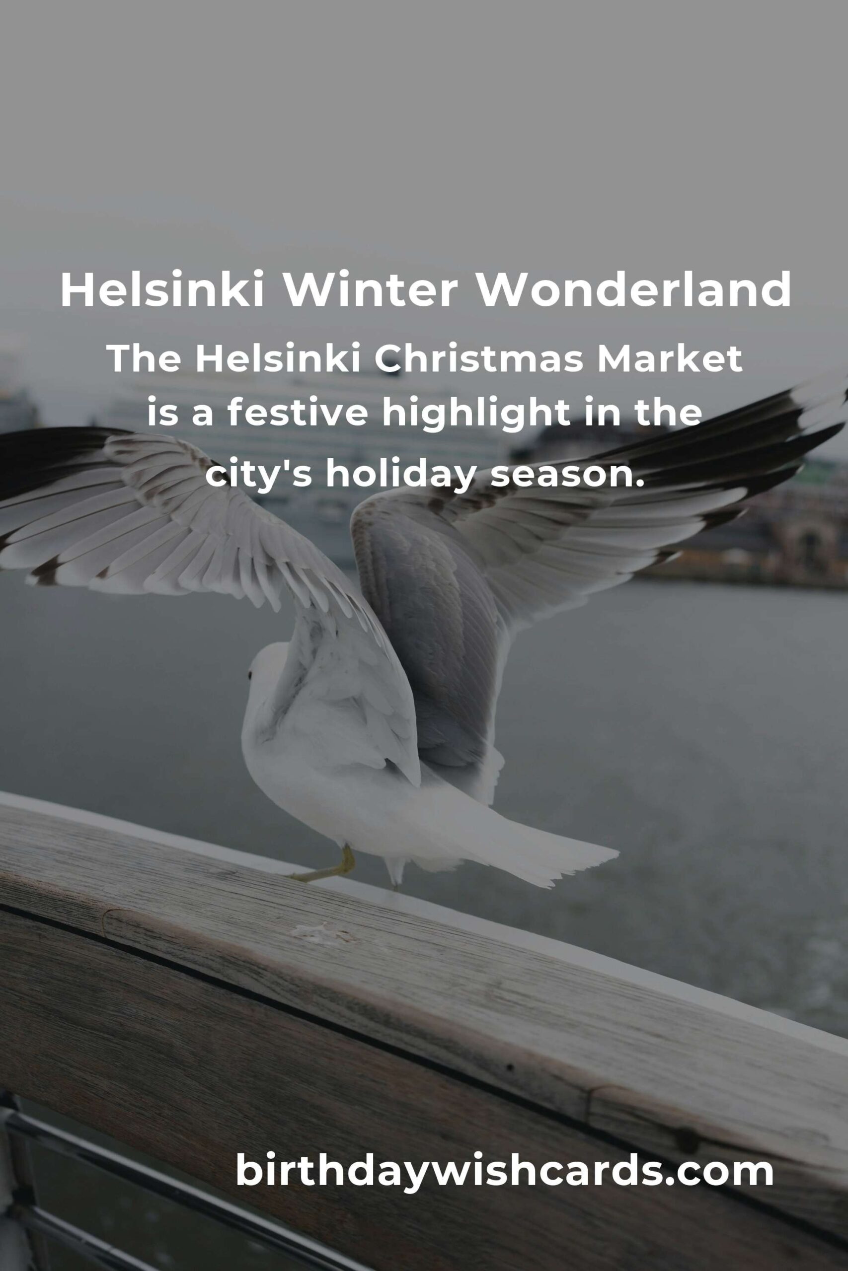 Discover the Best Winter Events in Helsinki for Empty Nesters