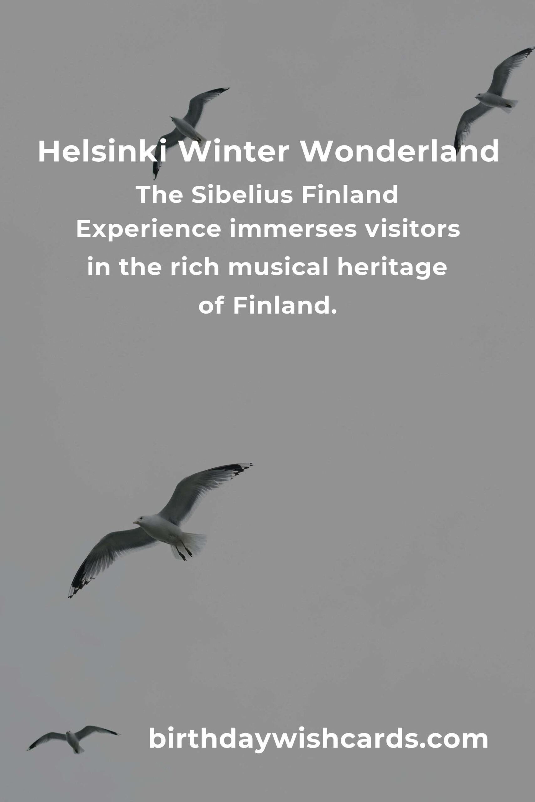 Discover the Best Winter Events in Helsinki for Empty Nesters