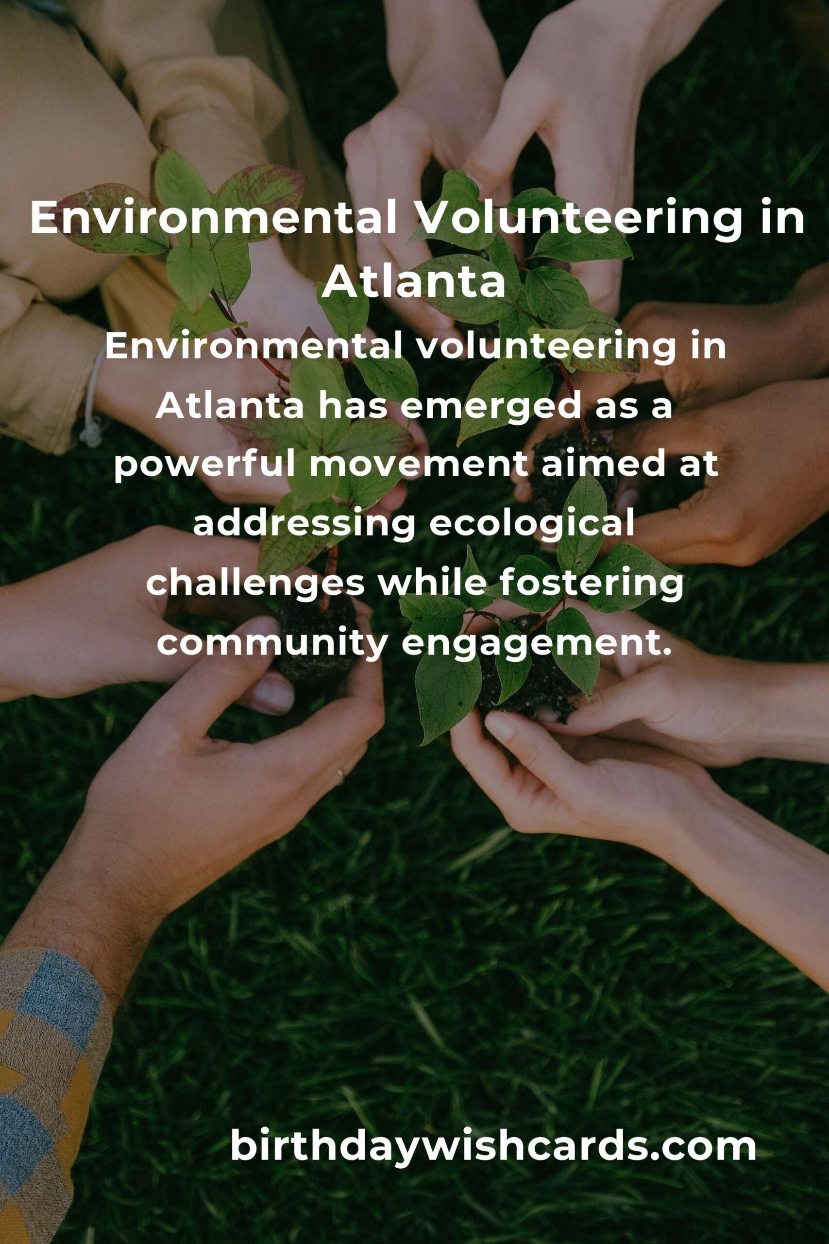Discover the Impact of Environmental Volunteering in Atlanta